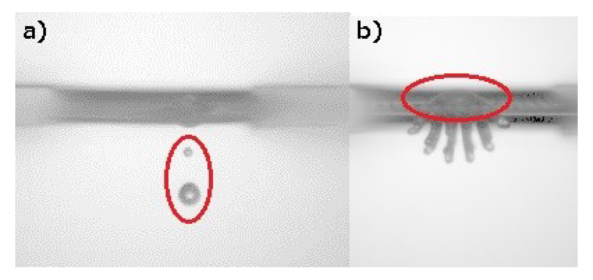Fluids 05 00081 g007