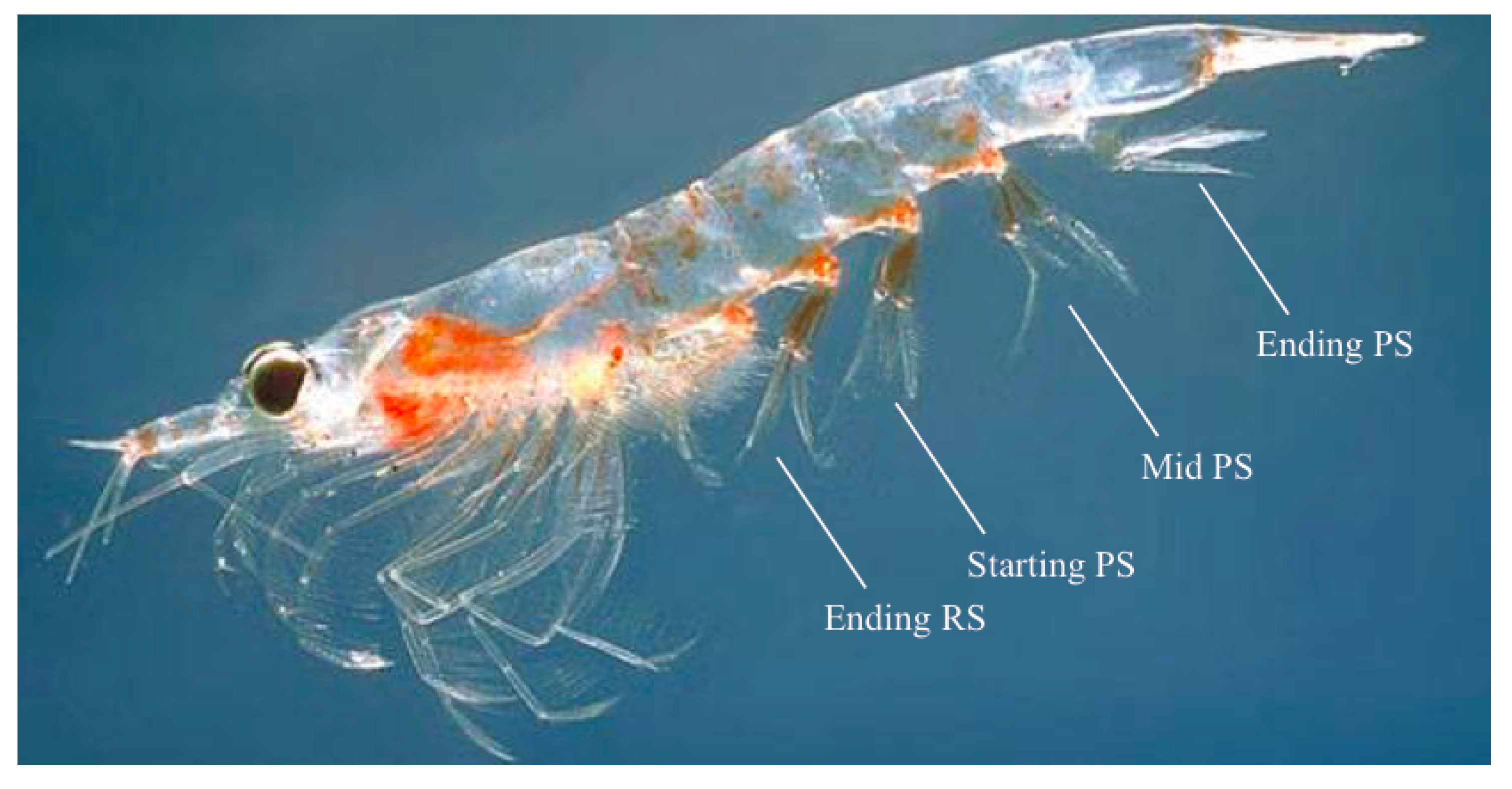 Fluids 05 00086 g001