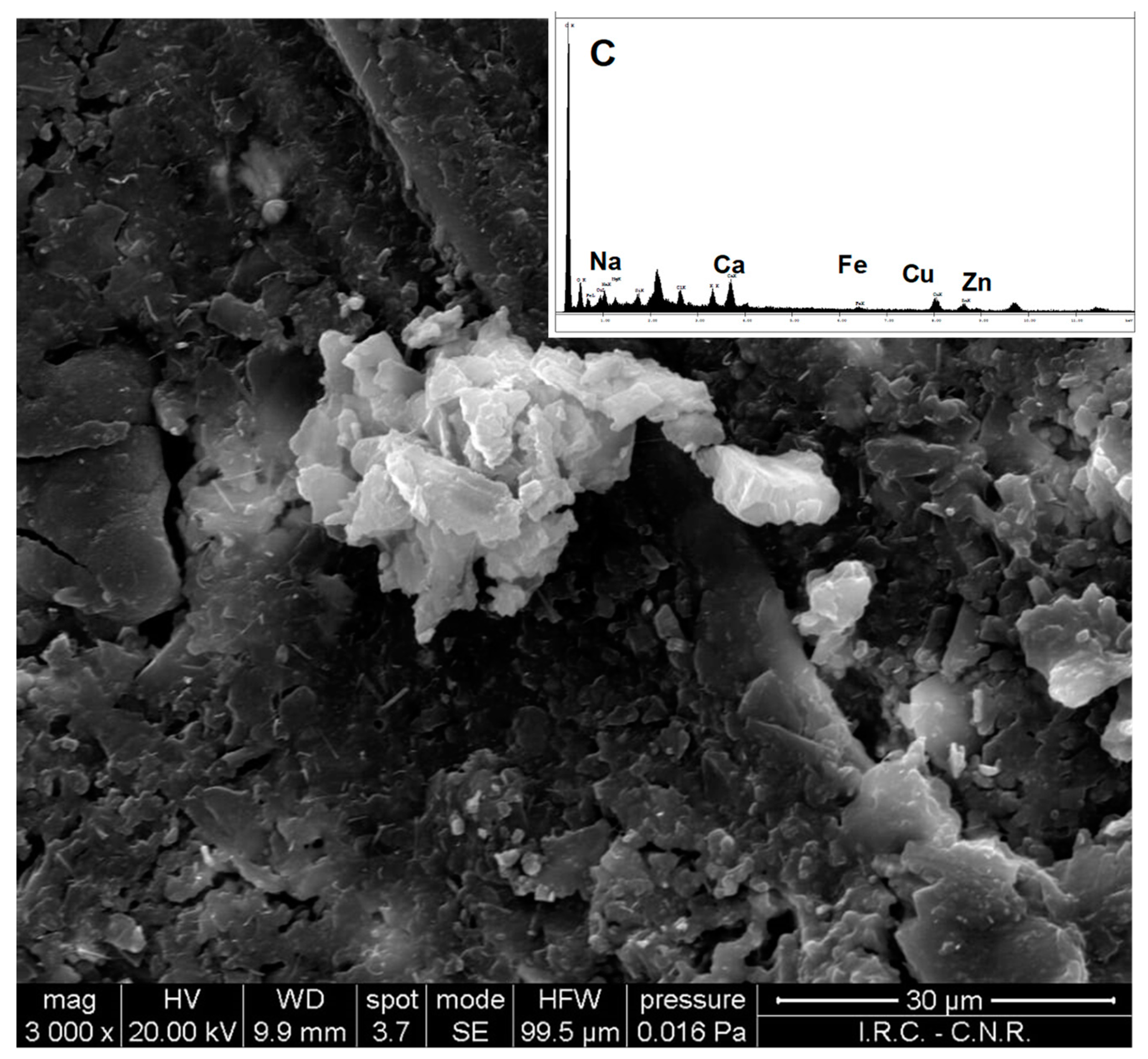 Fluids 05 00093 g005