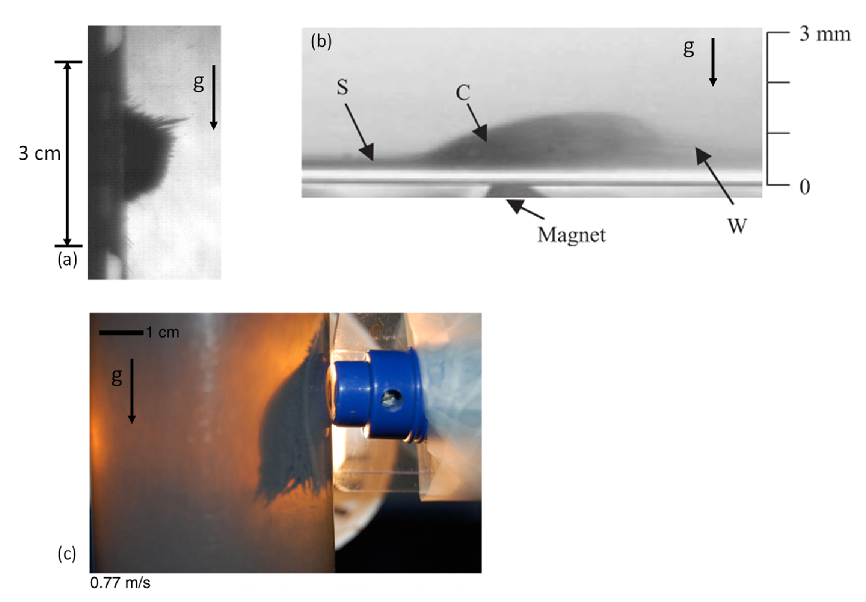 Fluids 05 00098 g005