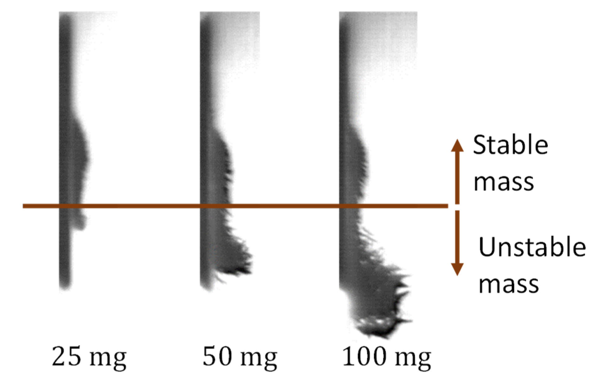 Fluids 05 00098 g006
