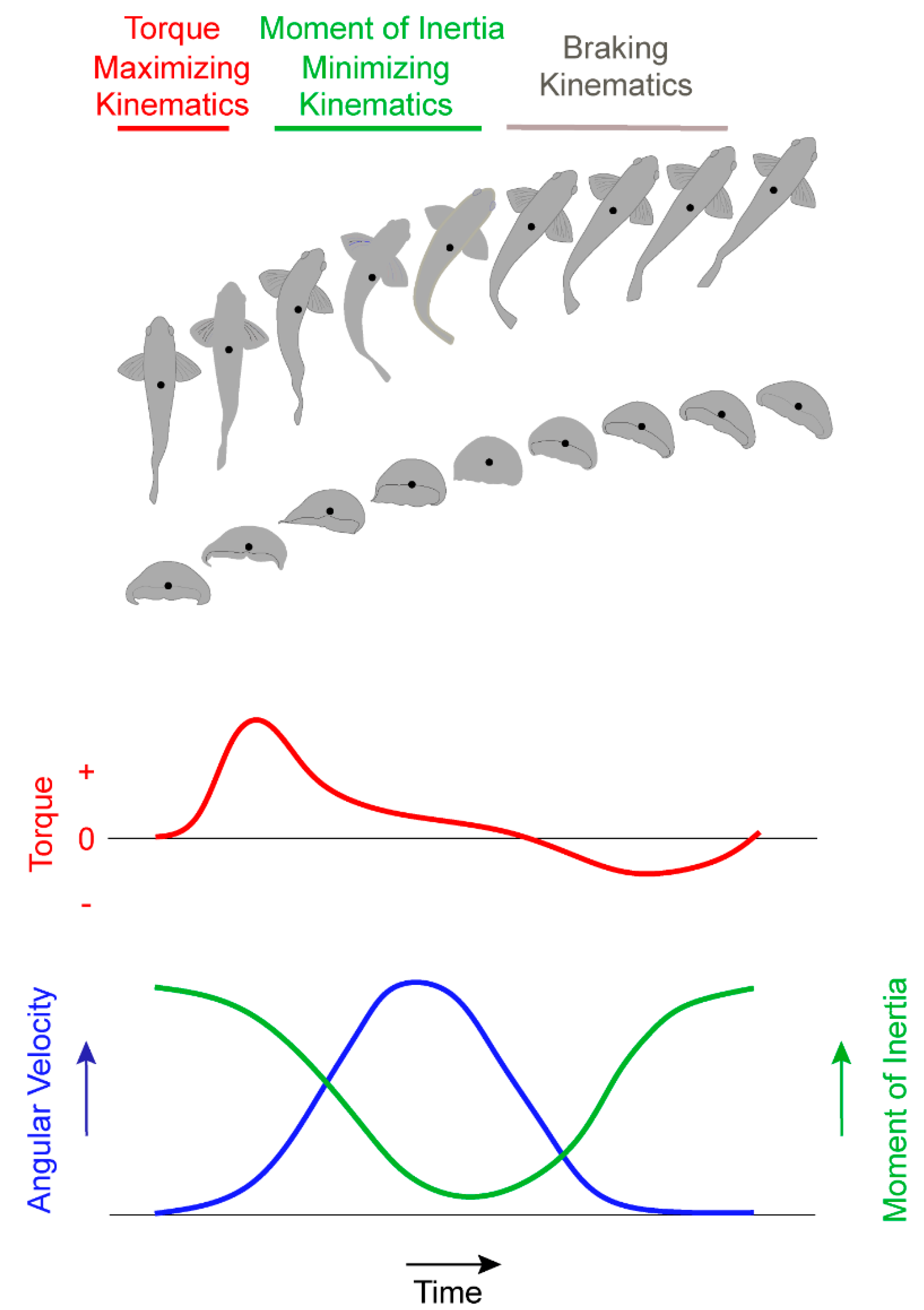 Fluids 05 00106 g005