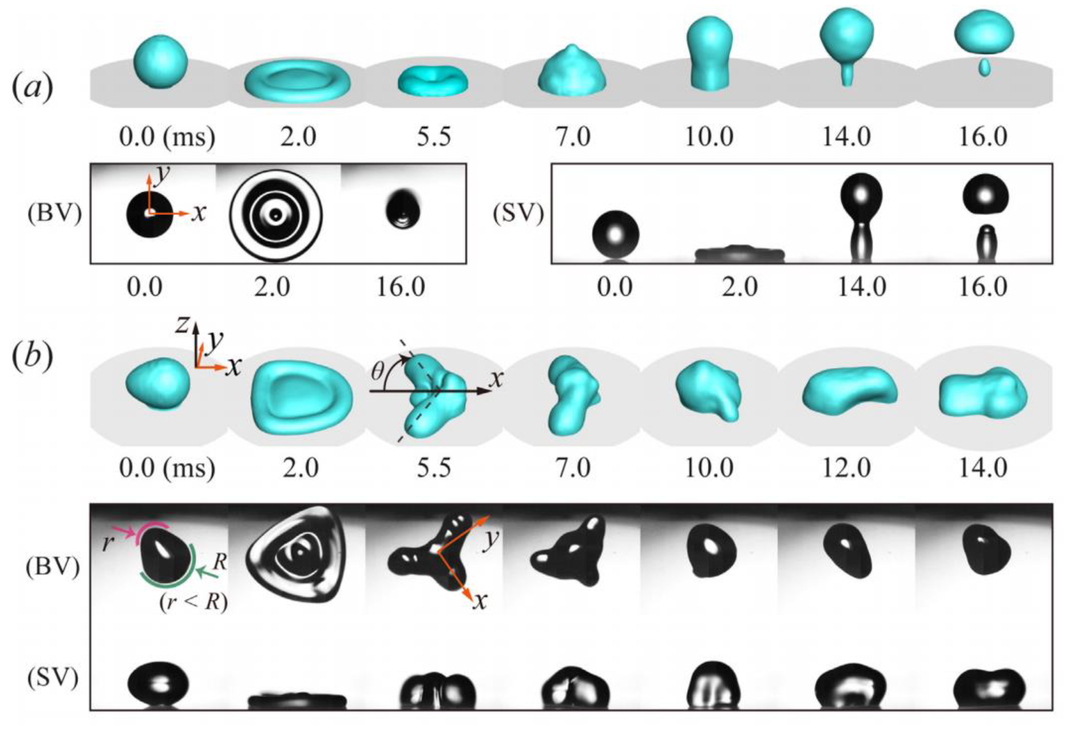 Fluids 05 00107 g007