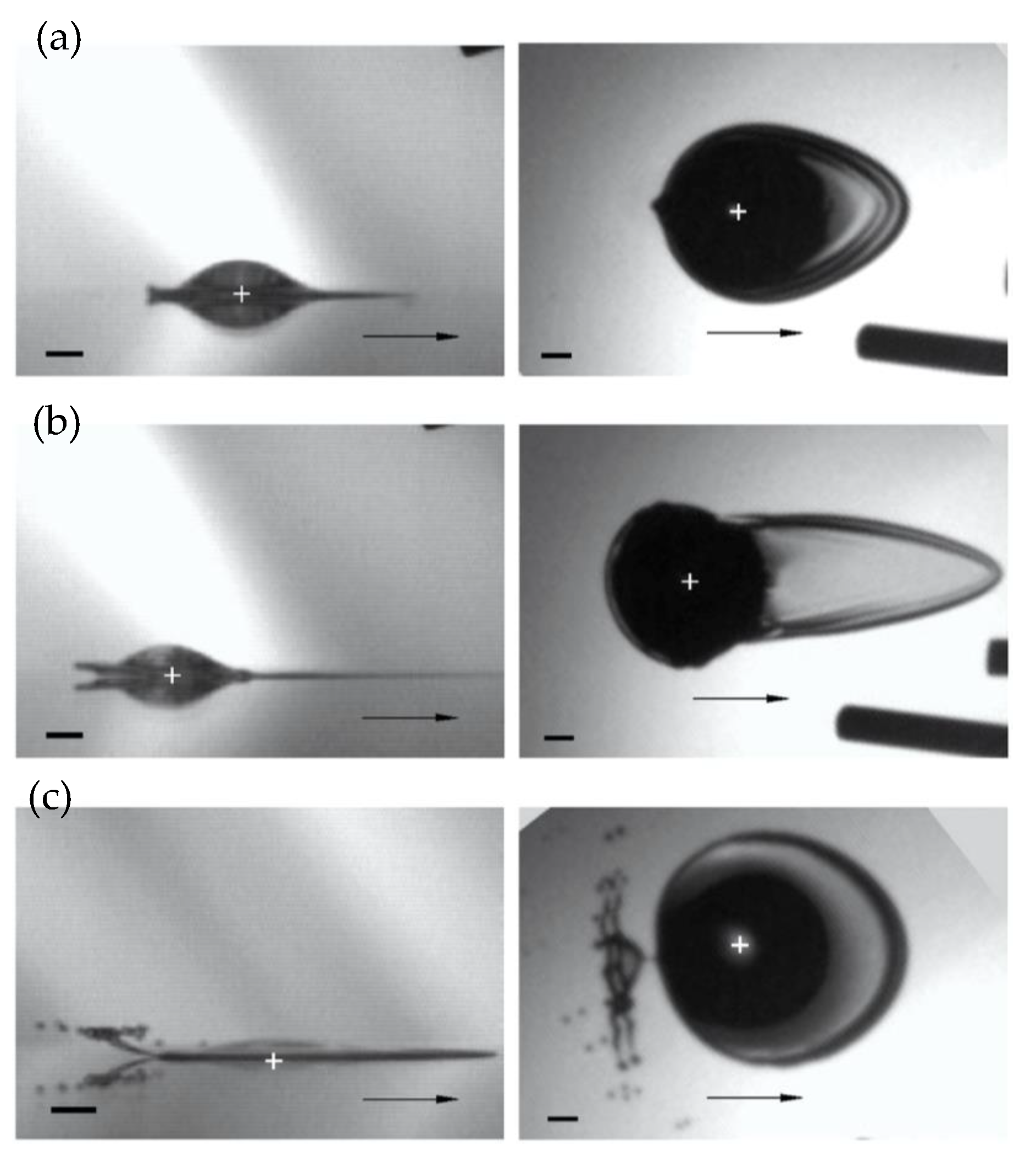 Fluids 05 00107 g009