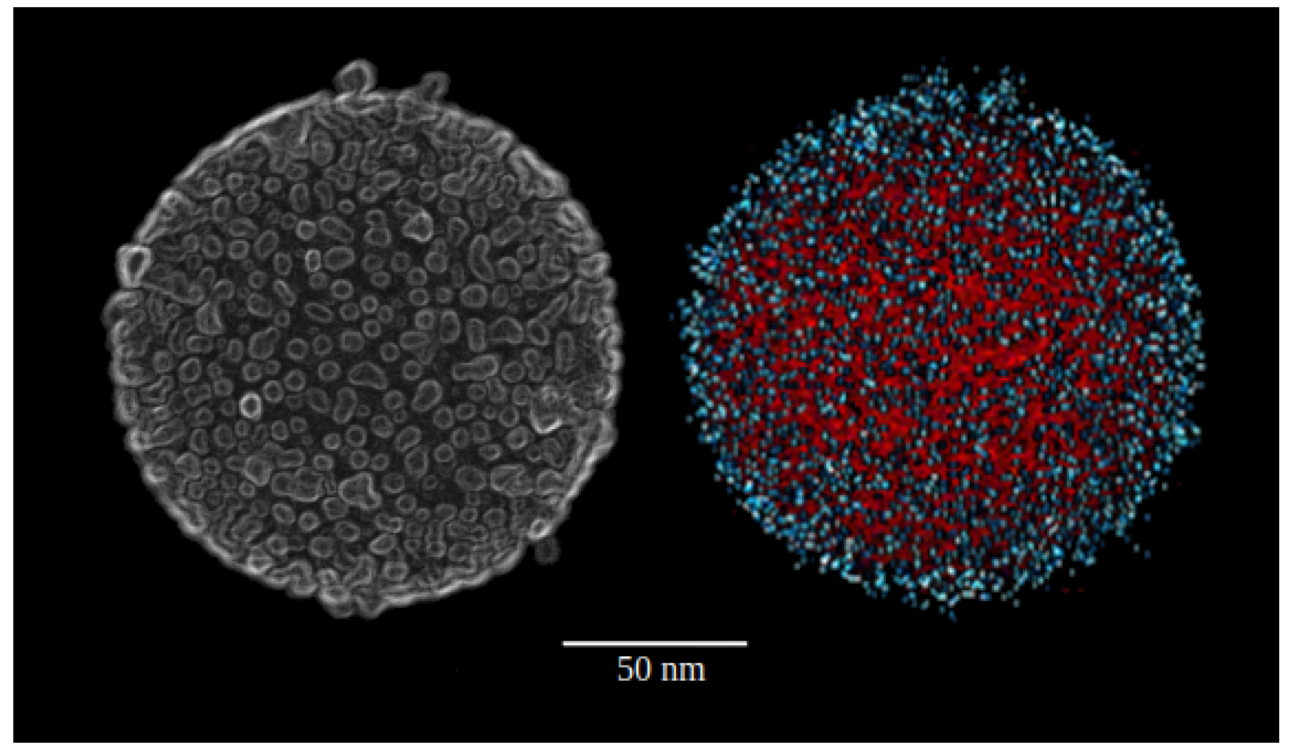 Fluids 05 00201 g001