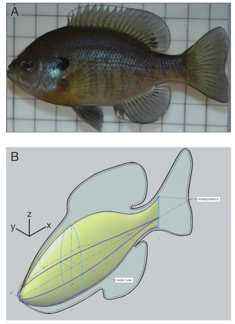 Fluids 05 00215 g001
