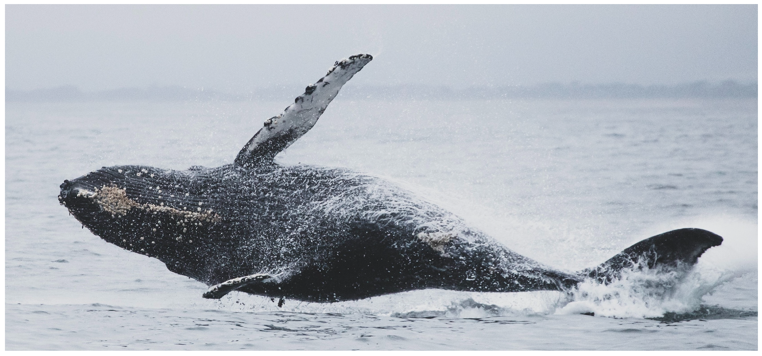 Fluids 05 00247 g001