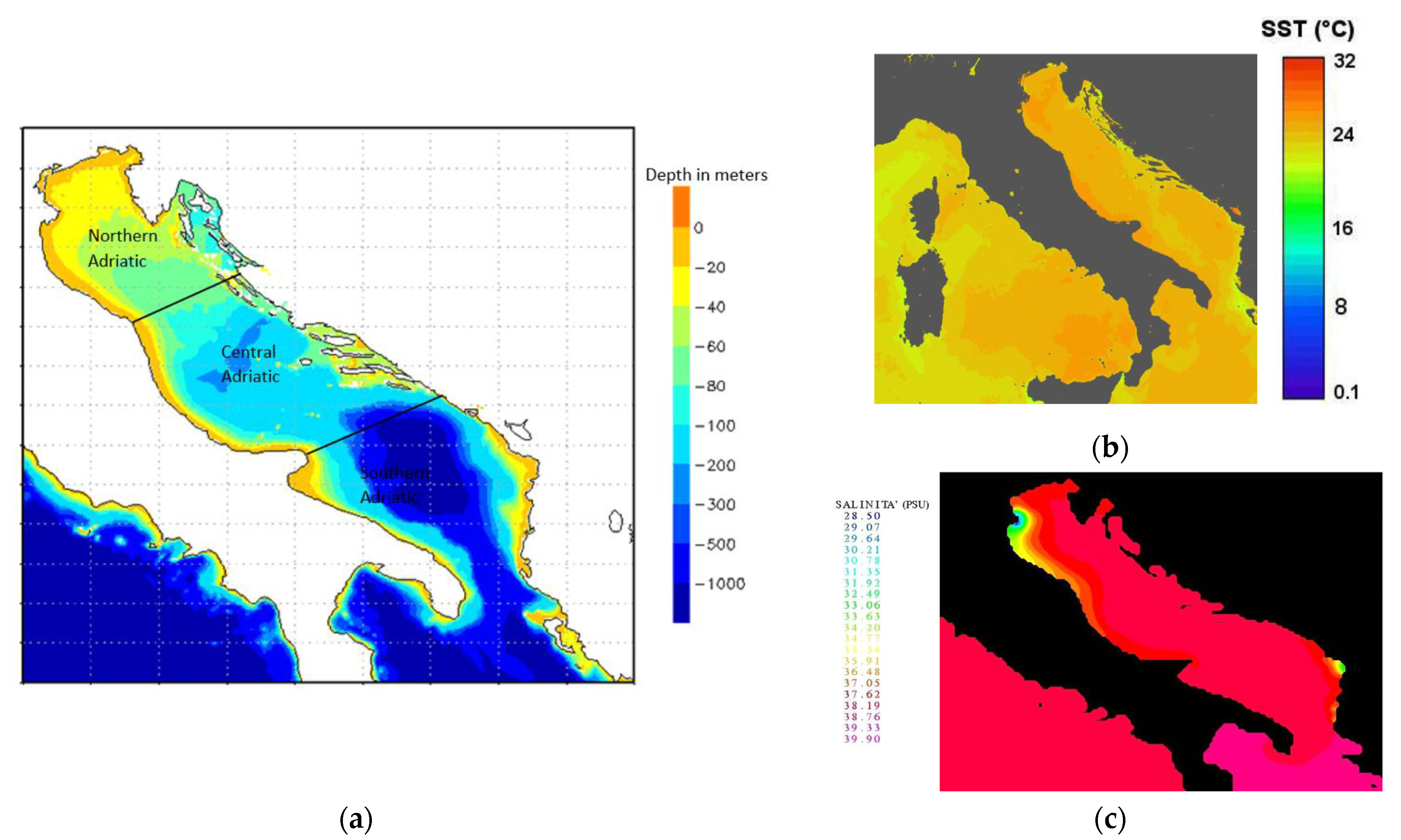 Fluids 06 00019 g005