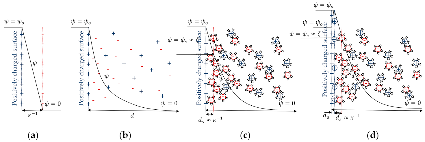 Fluids 06 00069 g002
