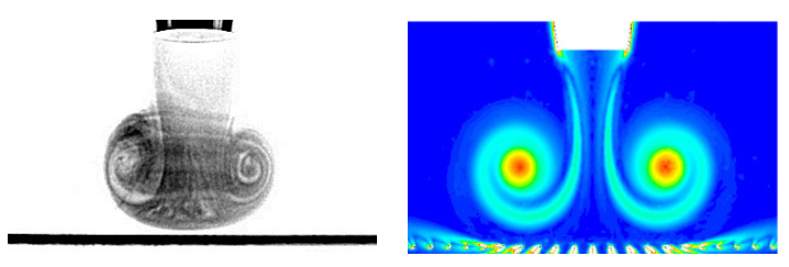 Fluids 06 00070 g008