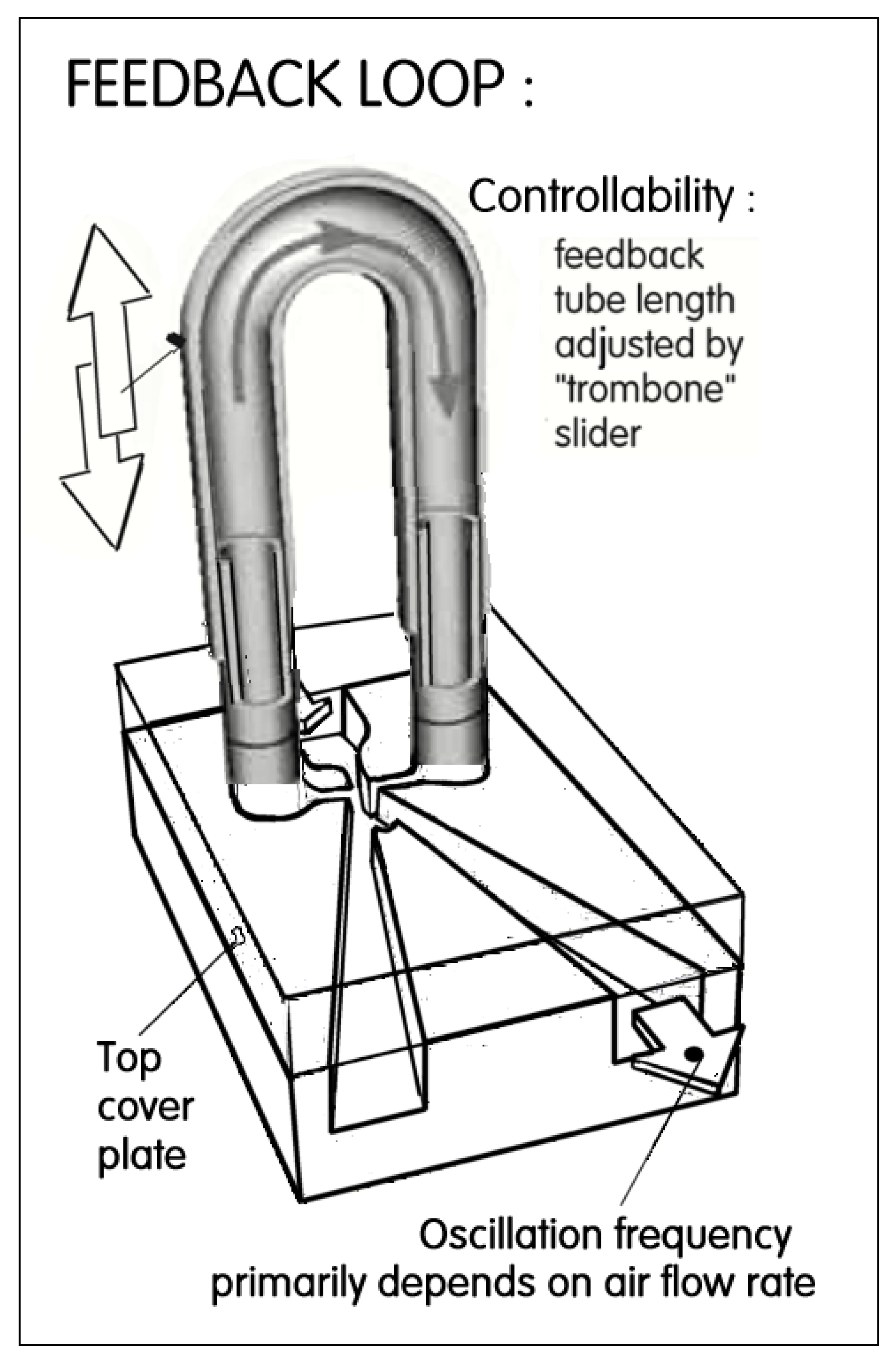 Fluids 06 00077 g006