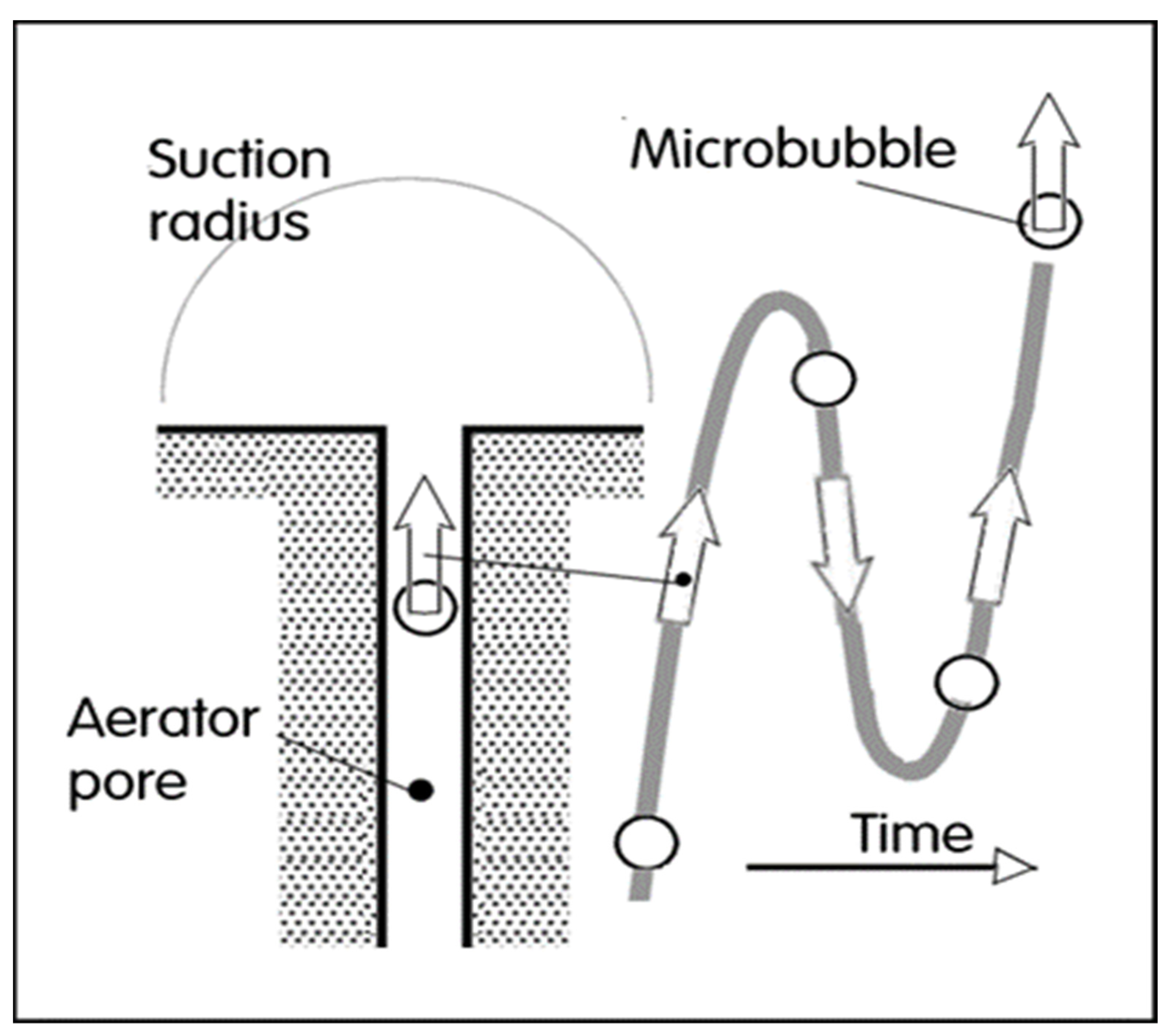 Fluids 06 00077 g010