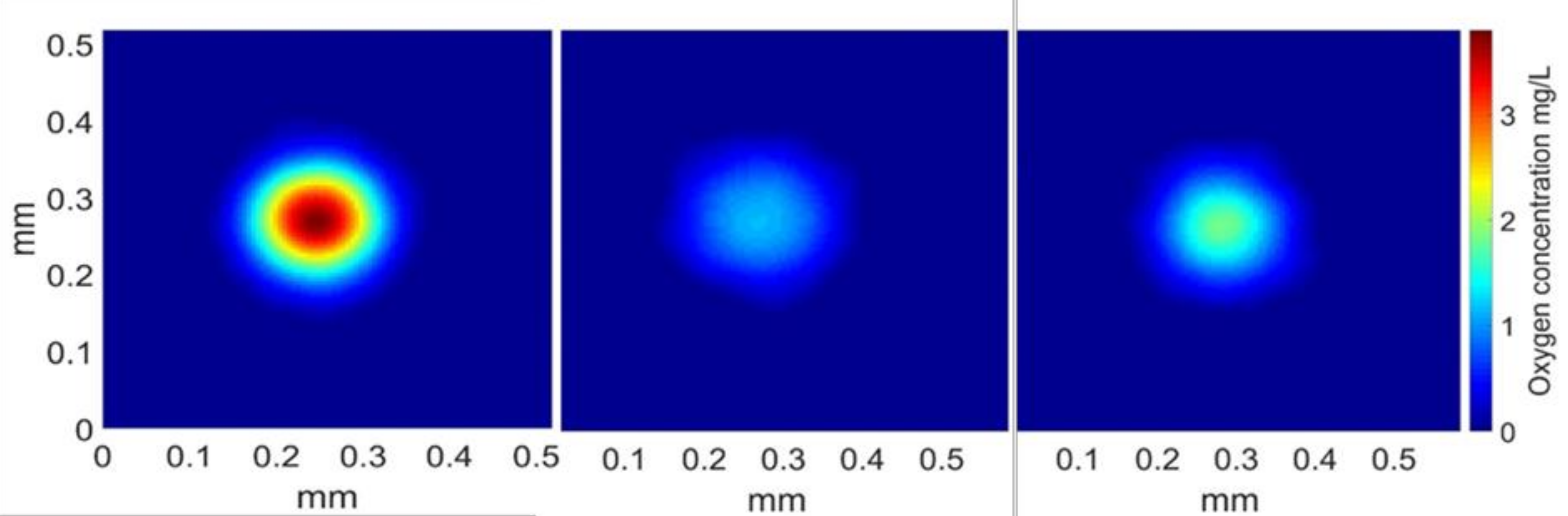 Fluids 06 00084 g006