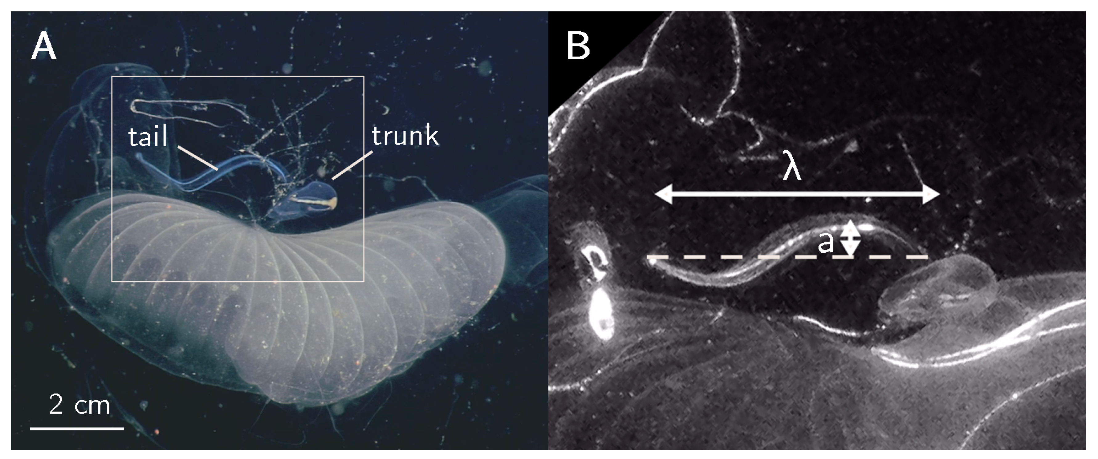 Fluids 06 00088 g001