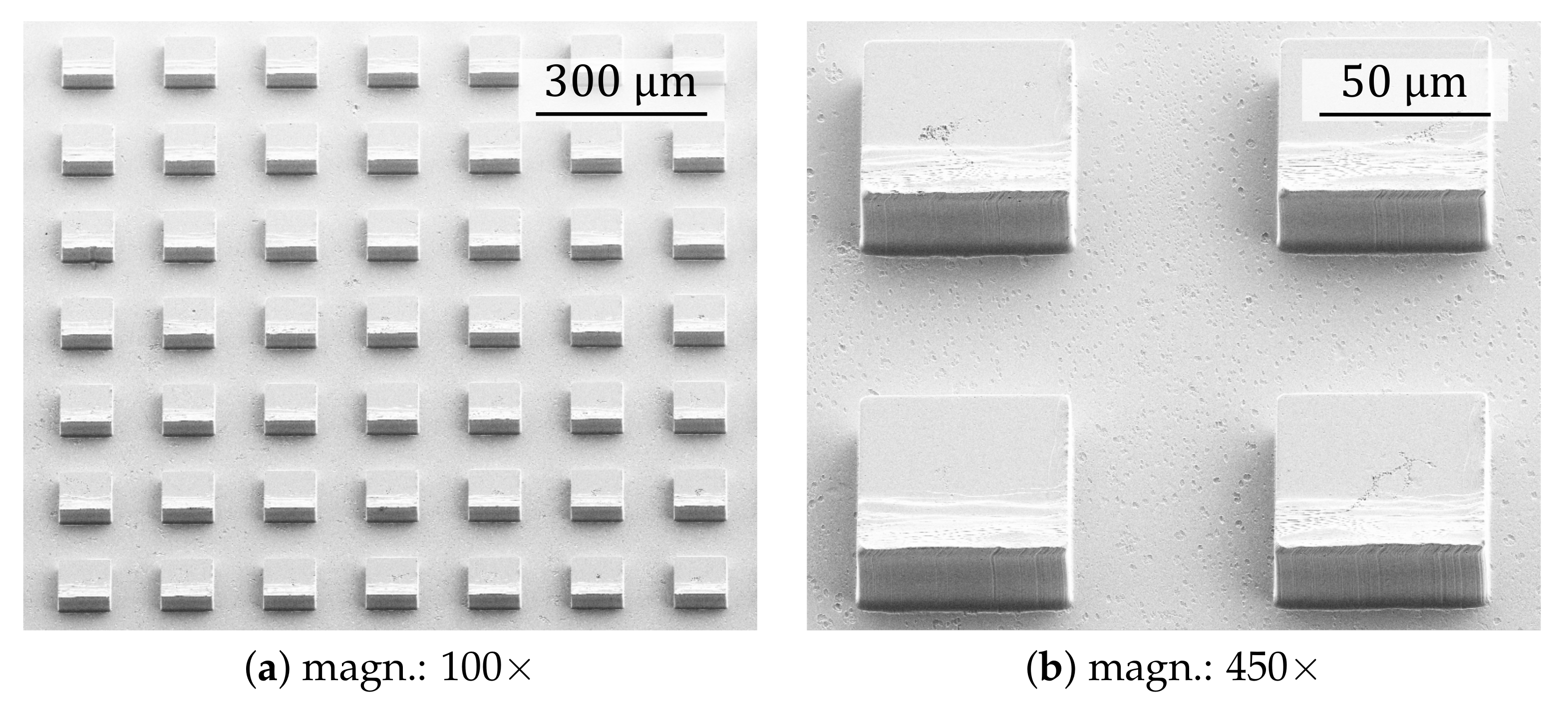 Fluids 06 00092 g003