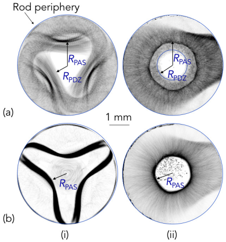Fluids 06 00105 g004