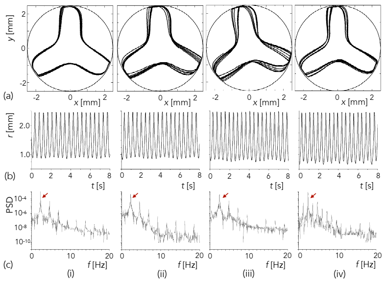 Fluids 06 00105 g006