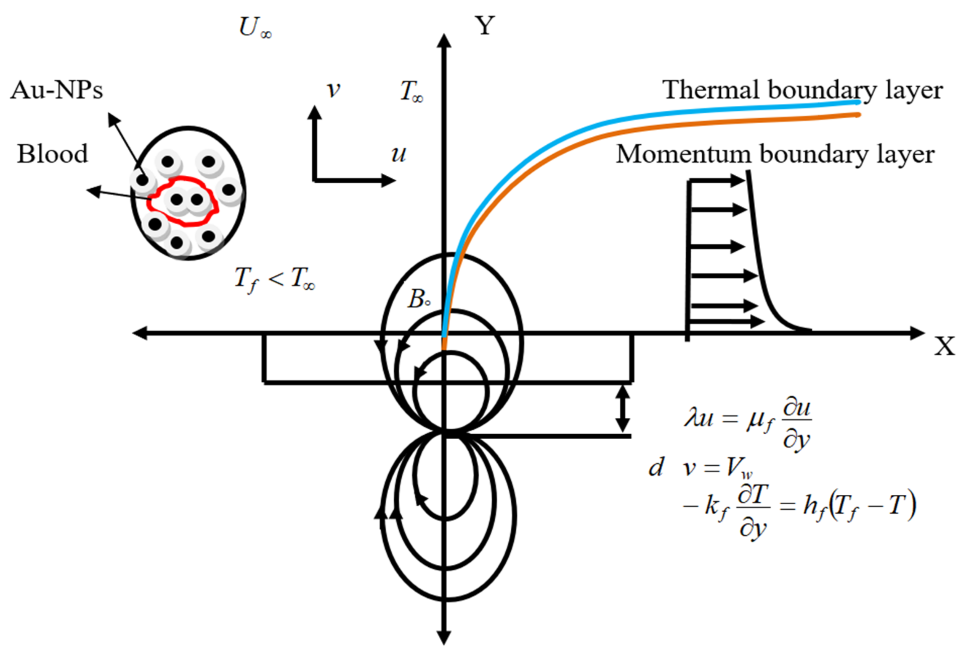 Fluids 06 00113 g001