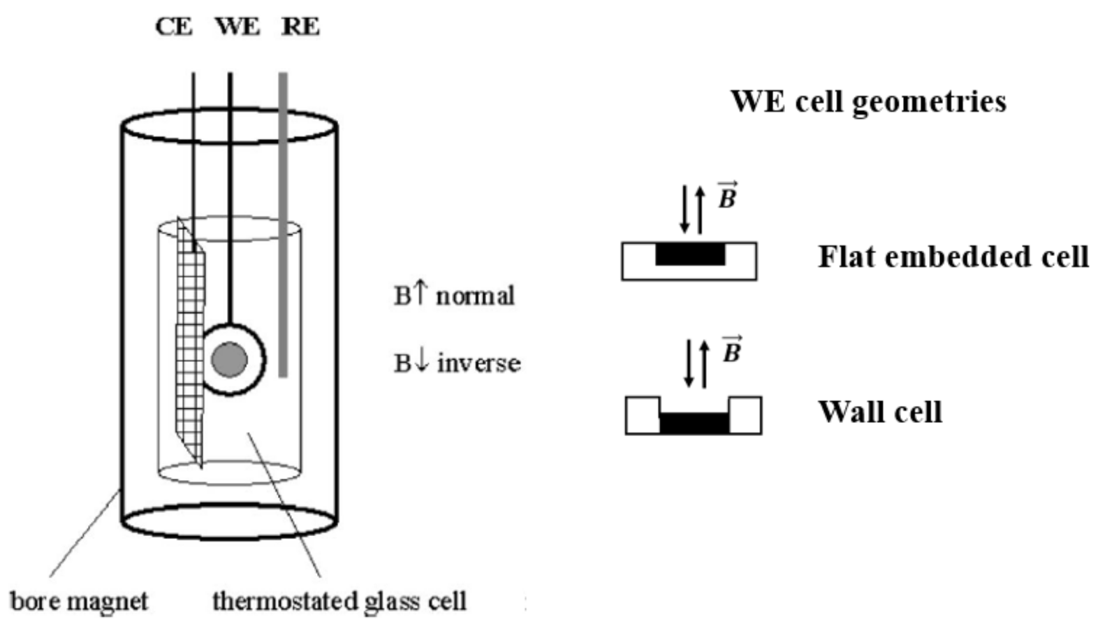 Fluids 06 00114 g005