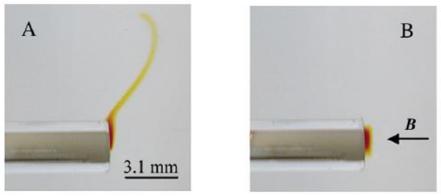 Fluids 06 00114 g006