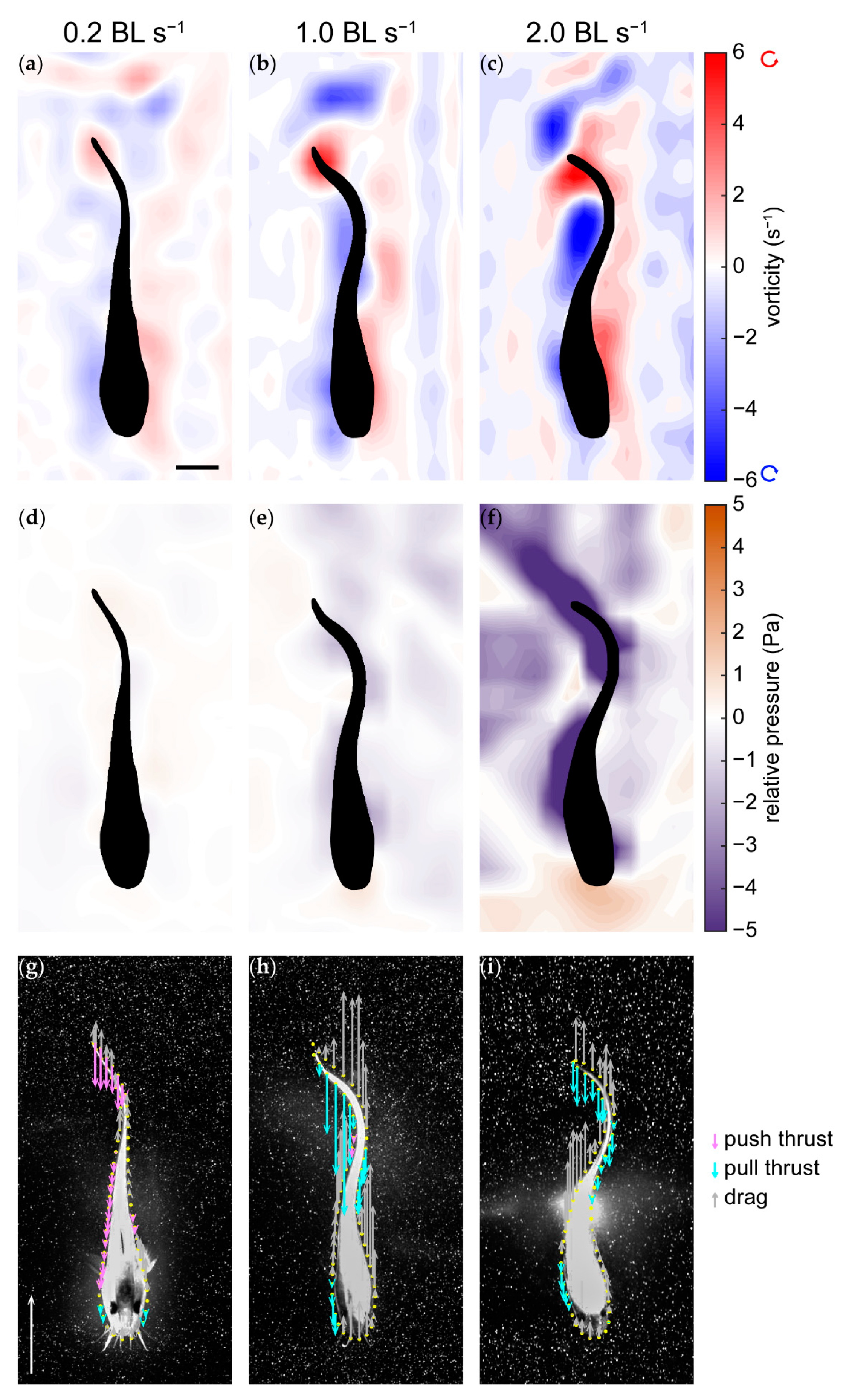 Fluids 06 00127 g005 Fluids 06 00127 g005