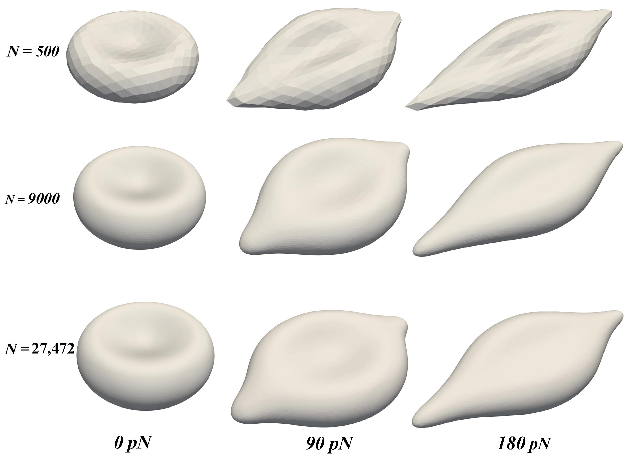 Fluids 06 00139 g005