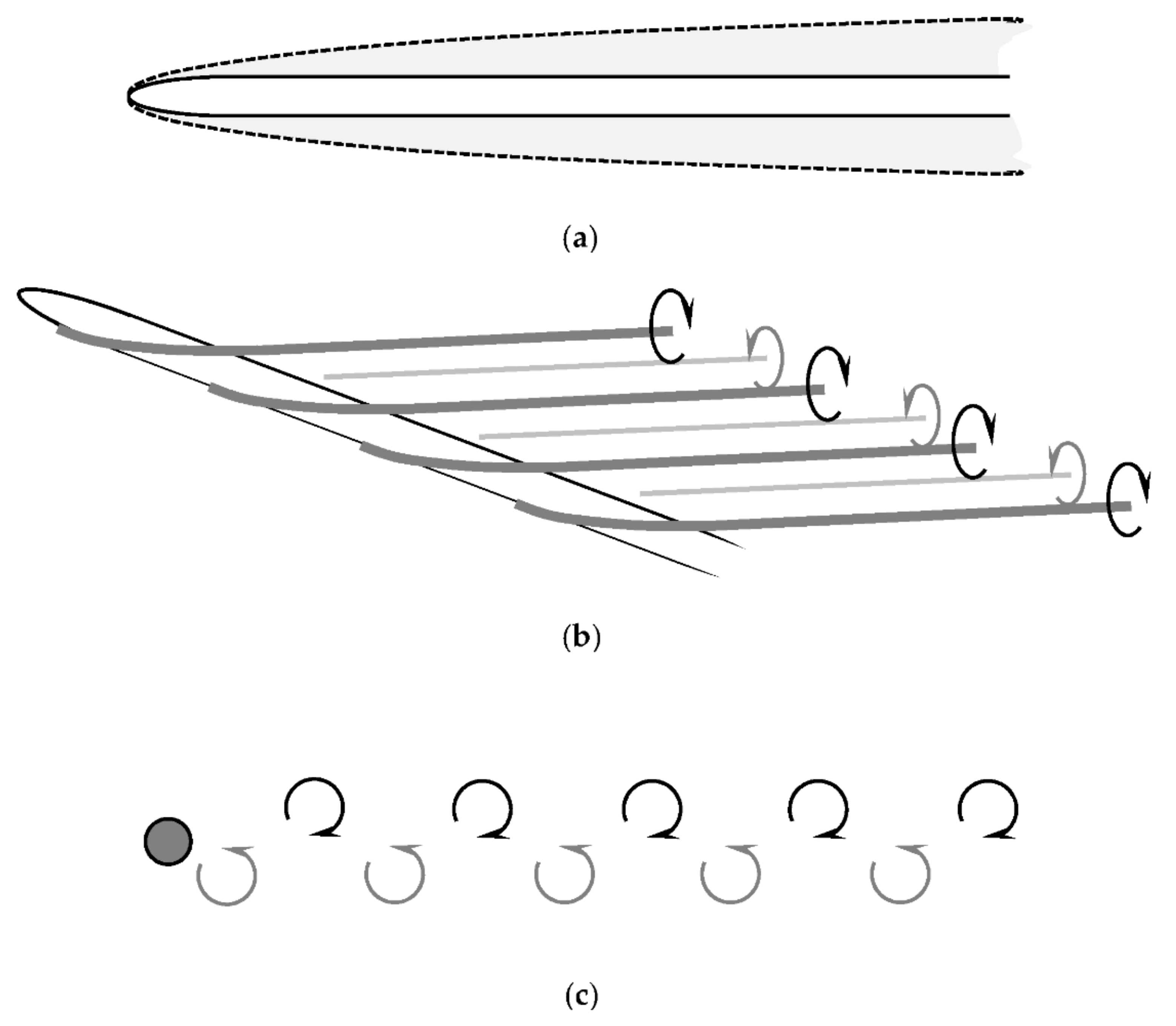 Fluids 06 00169 g007
