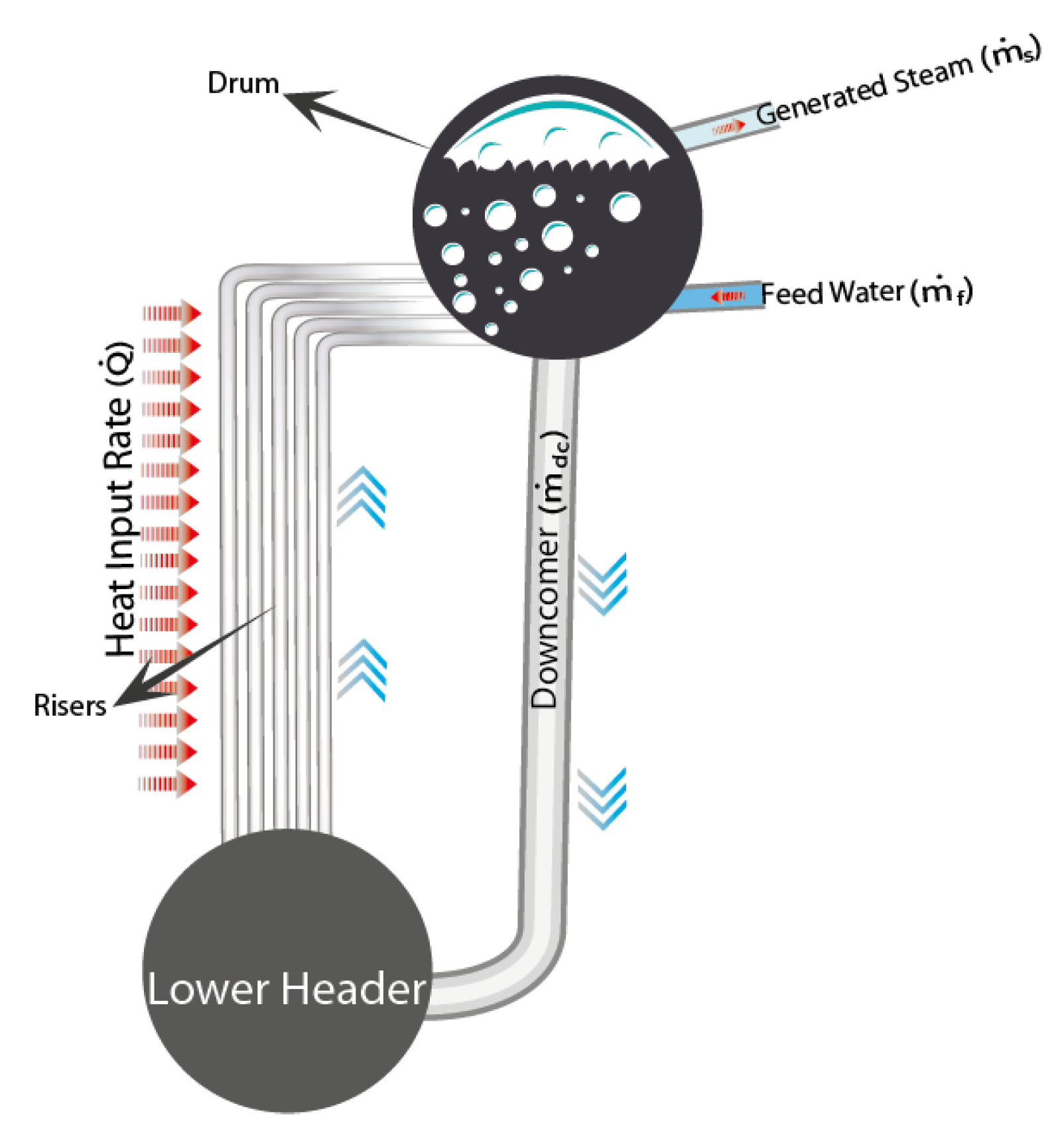 Fluids 06 00175 g002