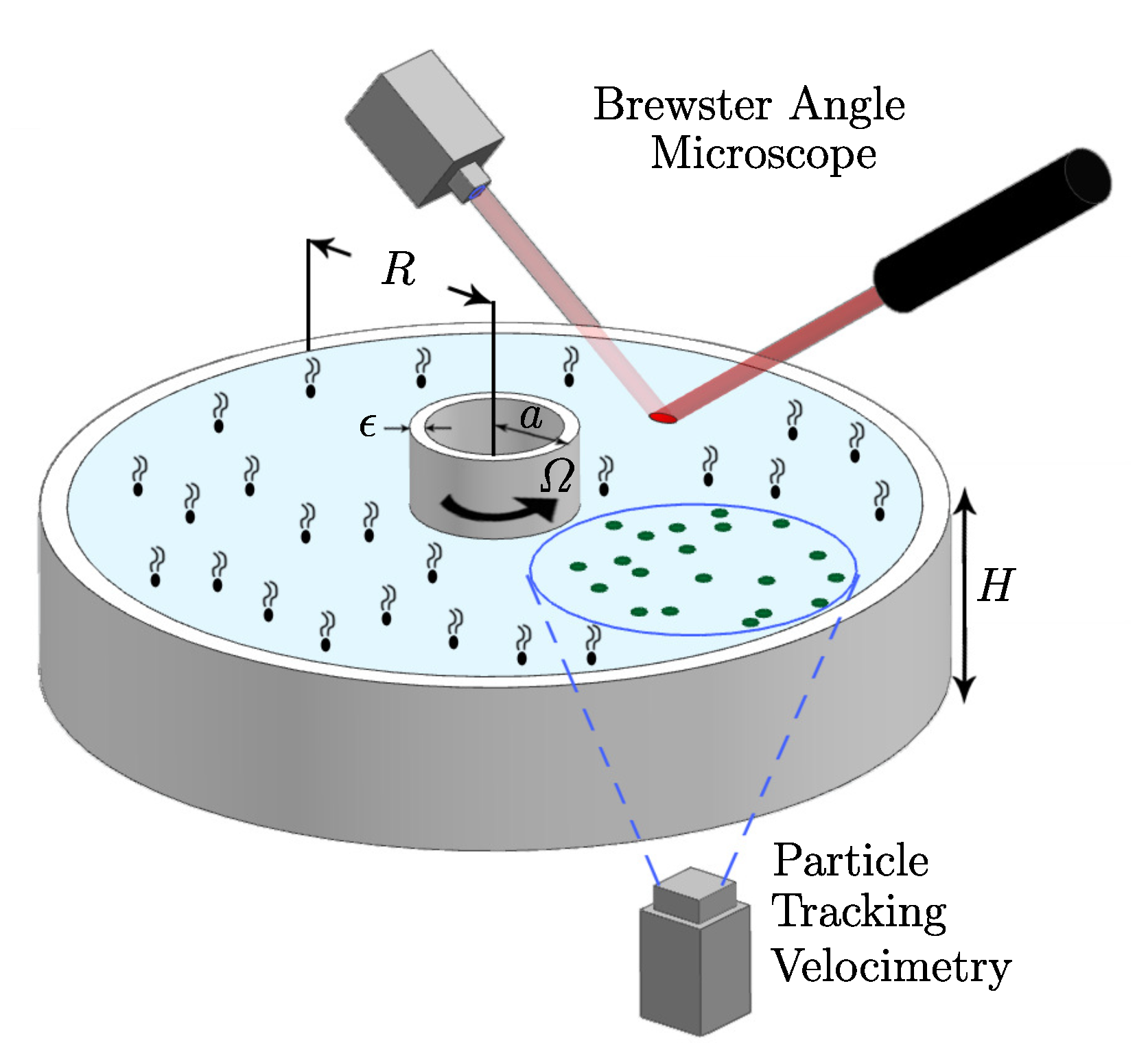 Fluids 06 00198 g005