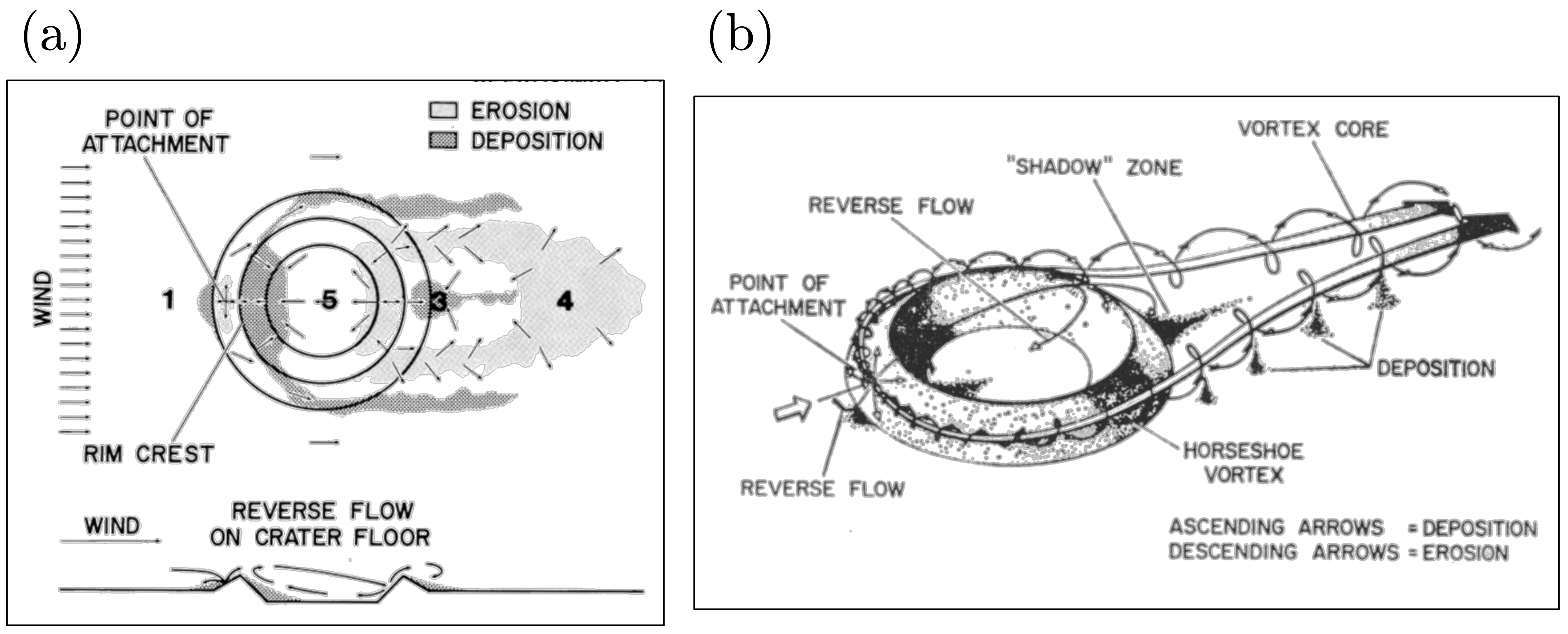 Fluids 06 00216 g021
