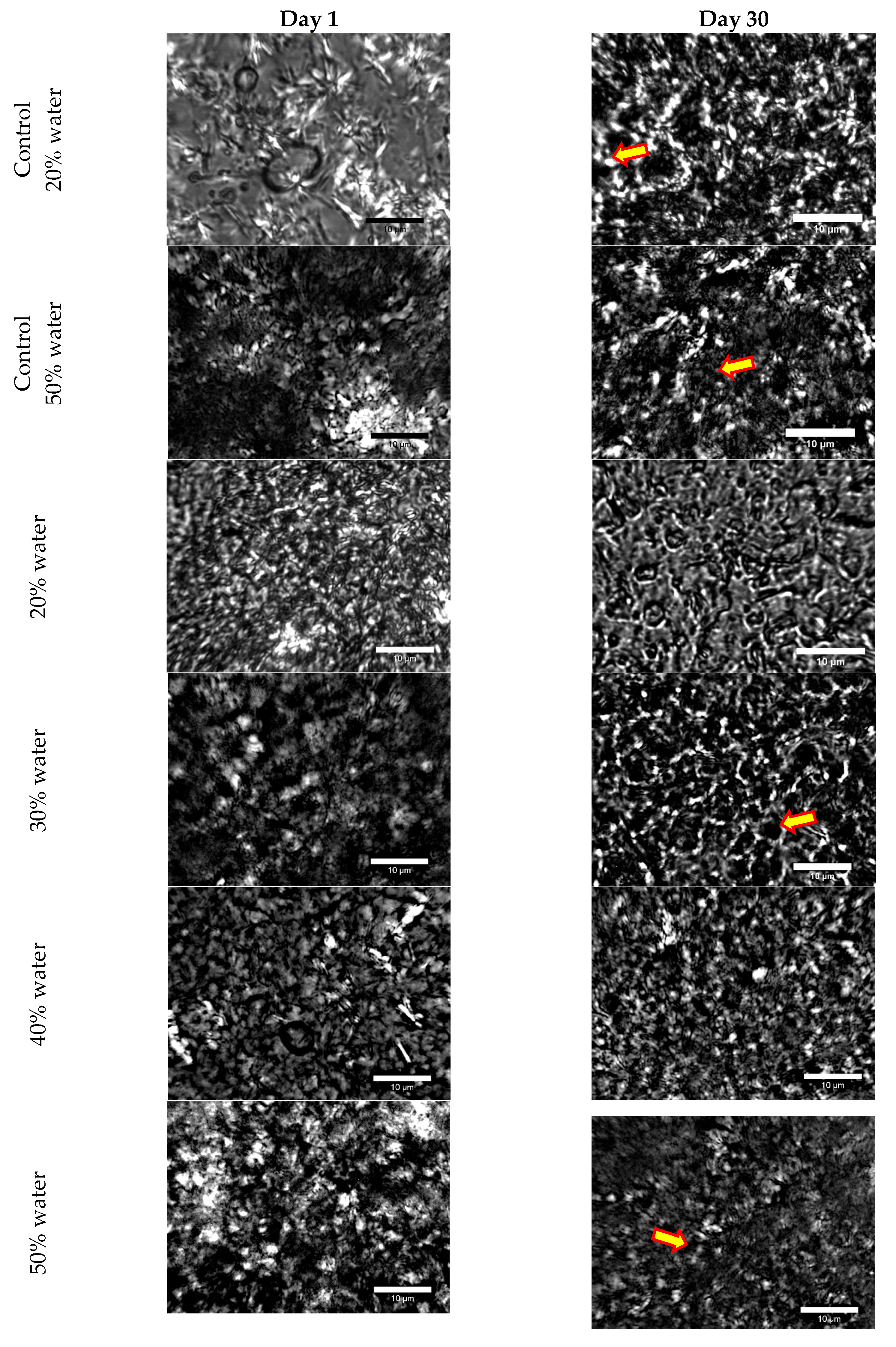 Fluids 06 00228 g006 Fluids 06 00228 g006