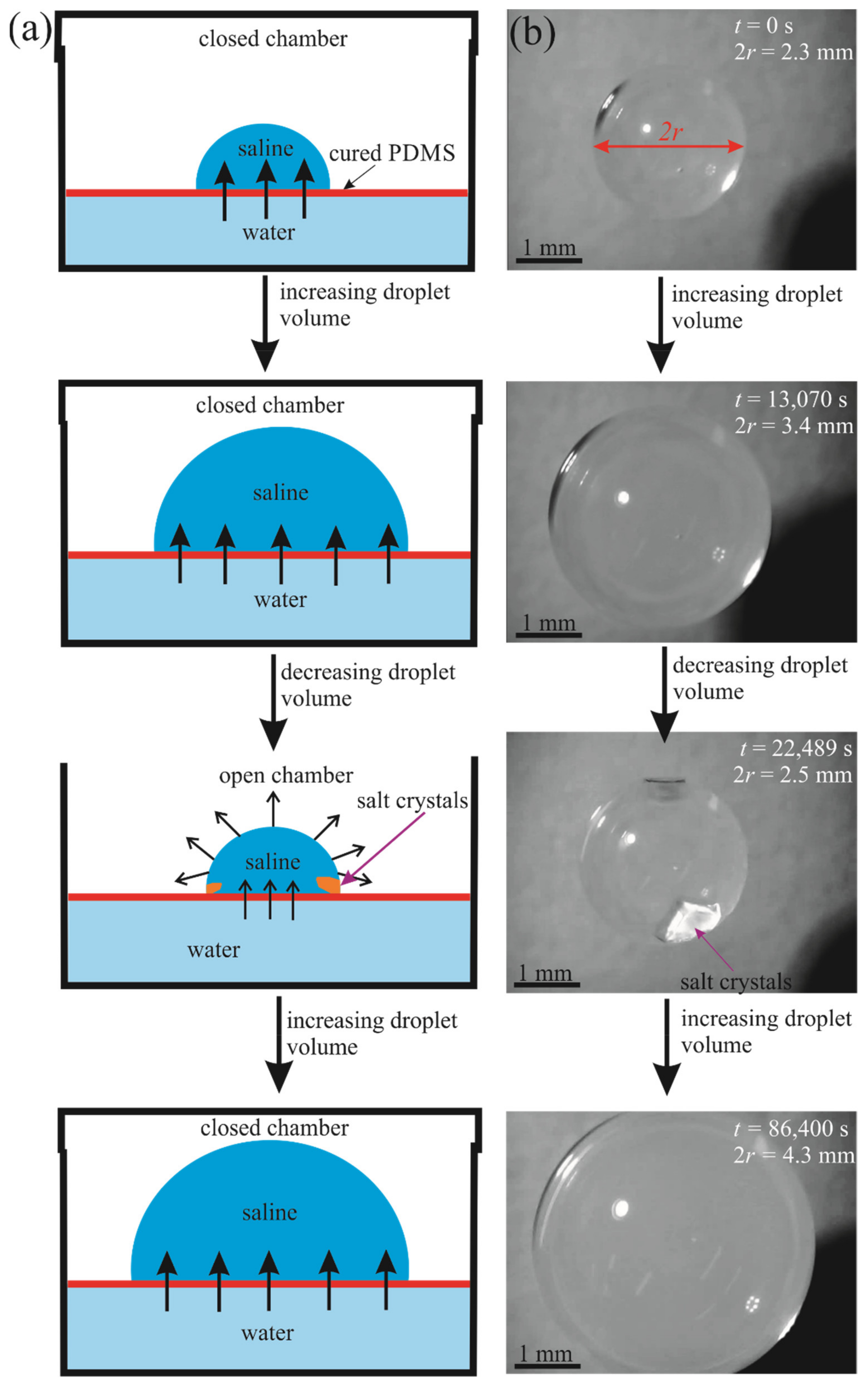 Fluids 06 00232 g002