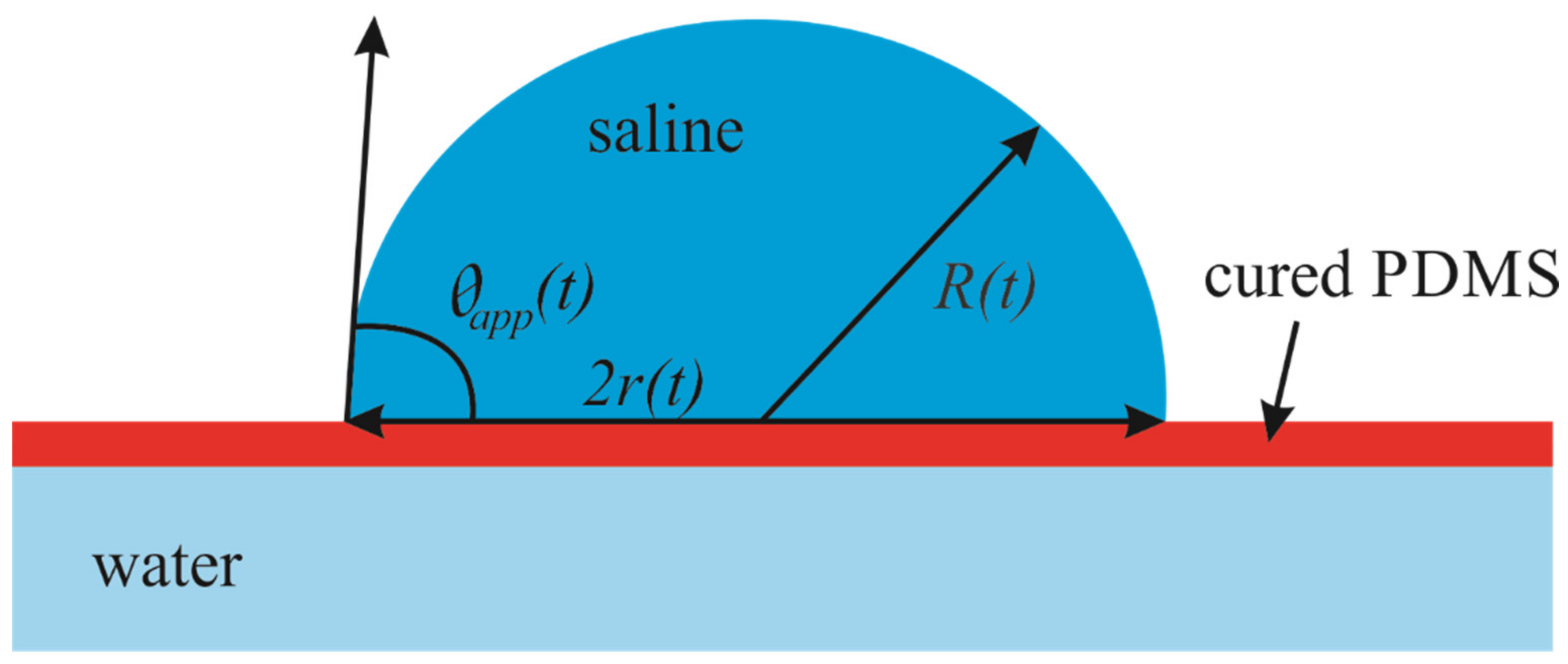 Fluids 06 00232 g003