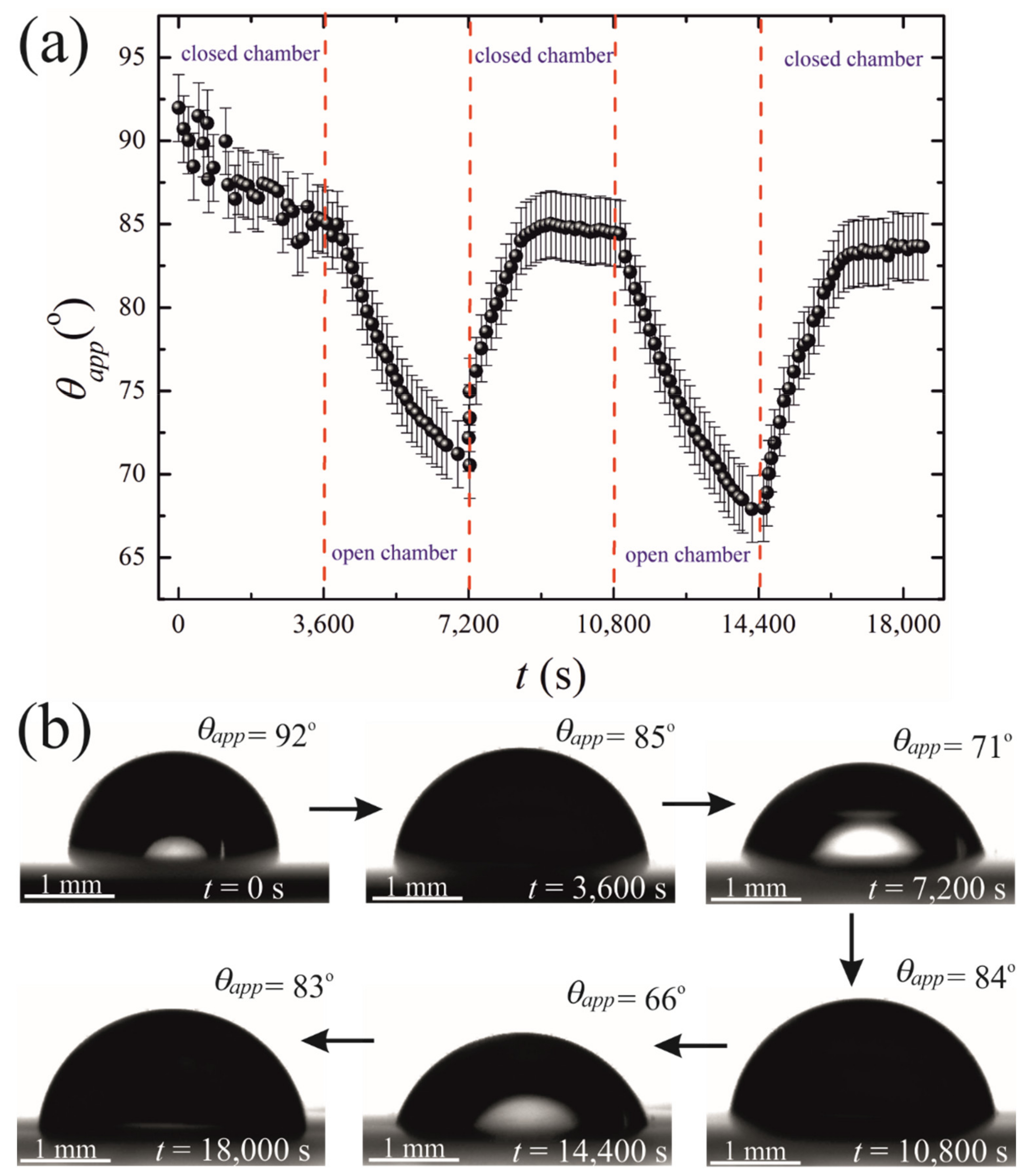 Fluids 06 00232 g005