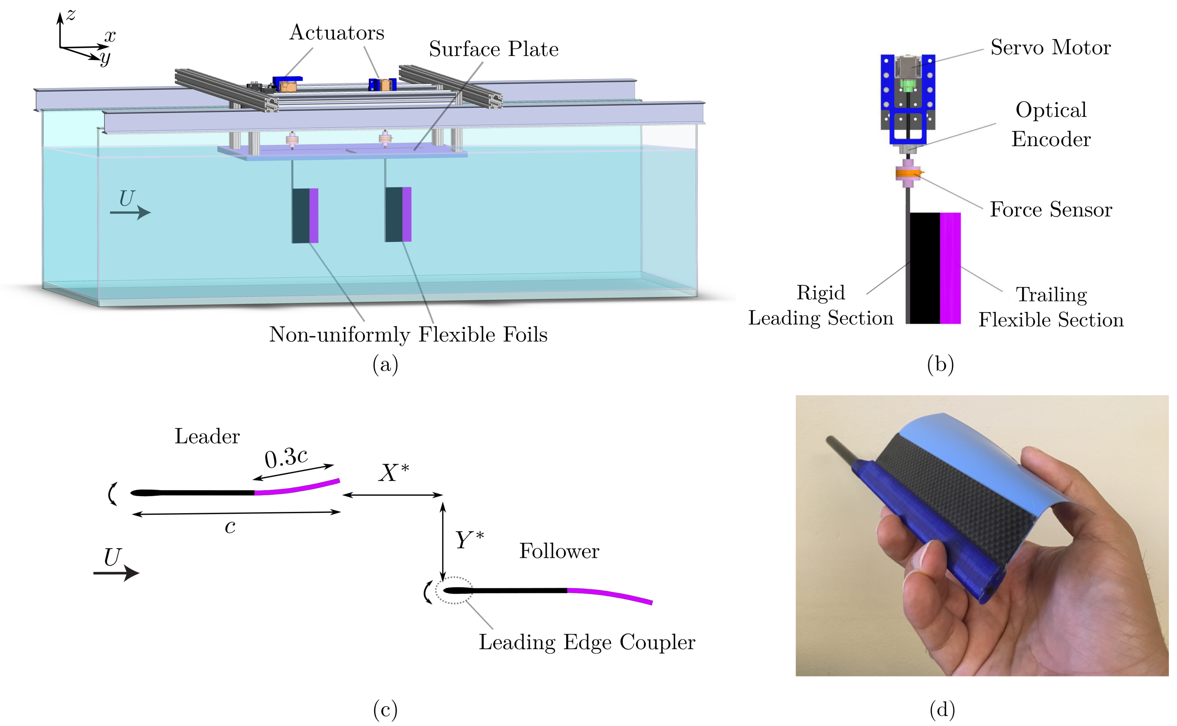 Fluids 06 00233 g002