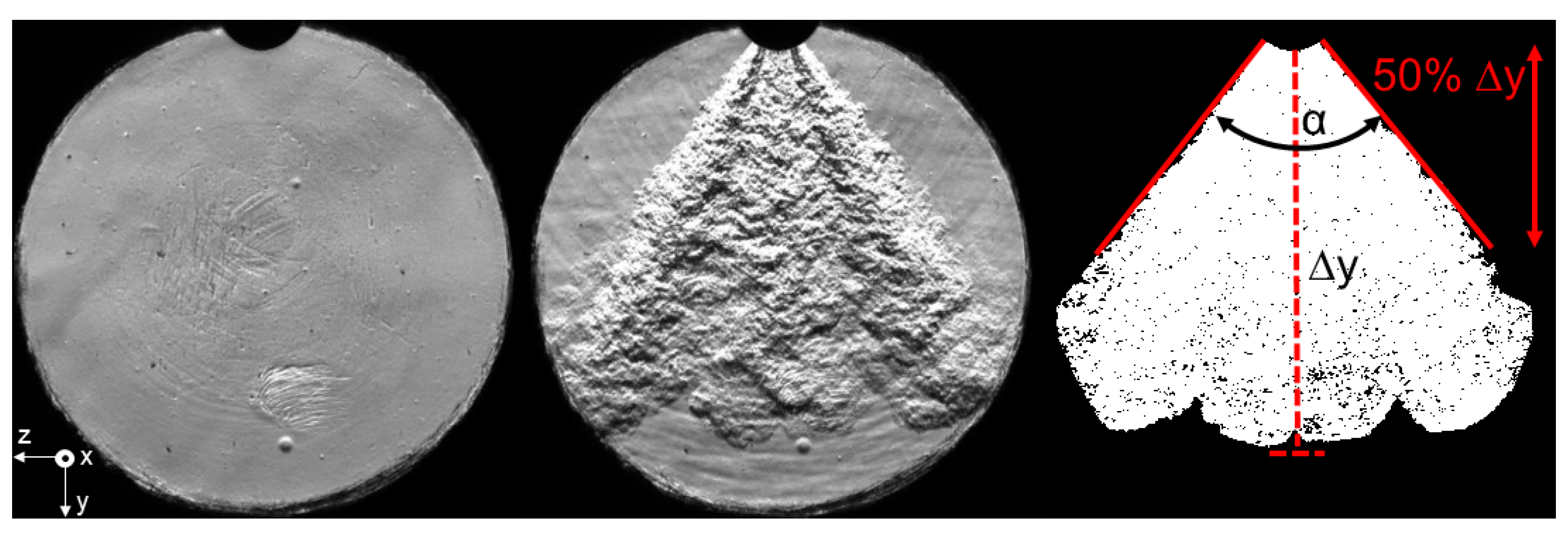 Fluids 06 00245 g003