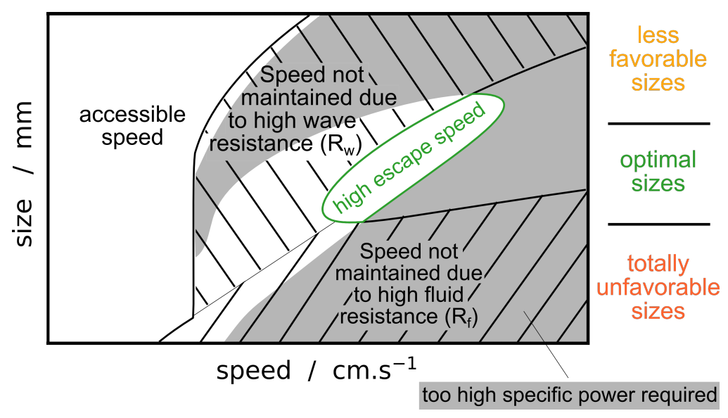 Fluids 06 00249 g008 Fluids 06 00249 g008