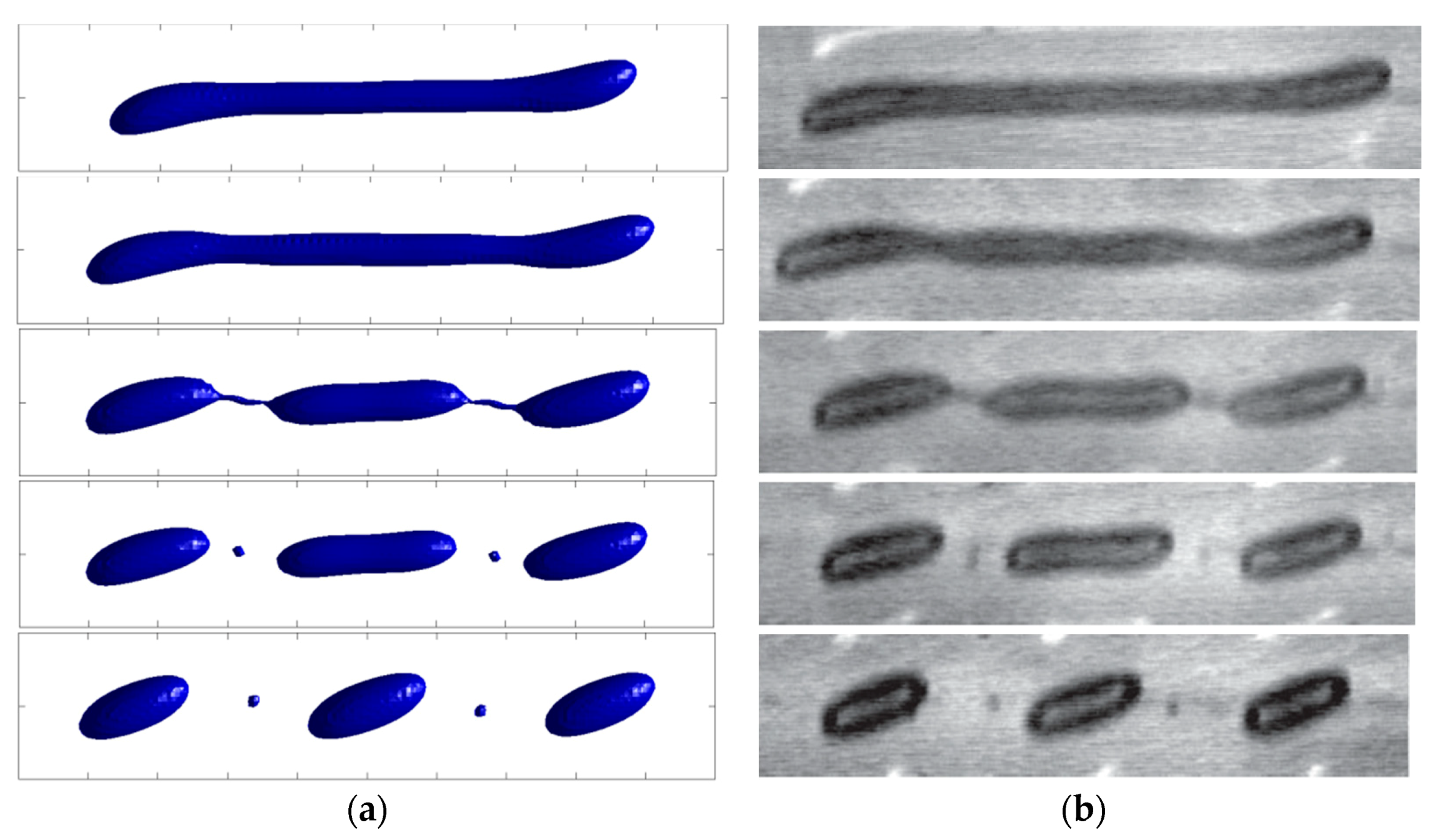 Fluids 06 00261 g018