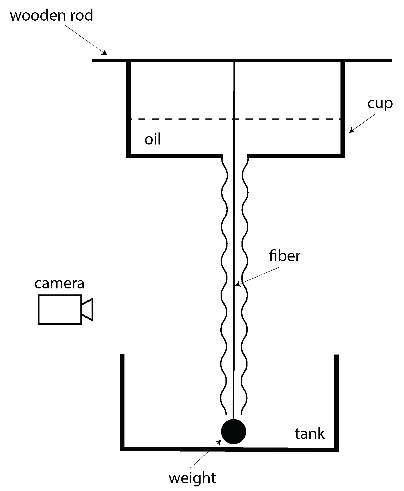 Fluids 06 00281 g006