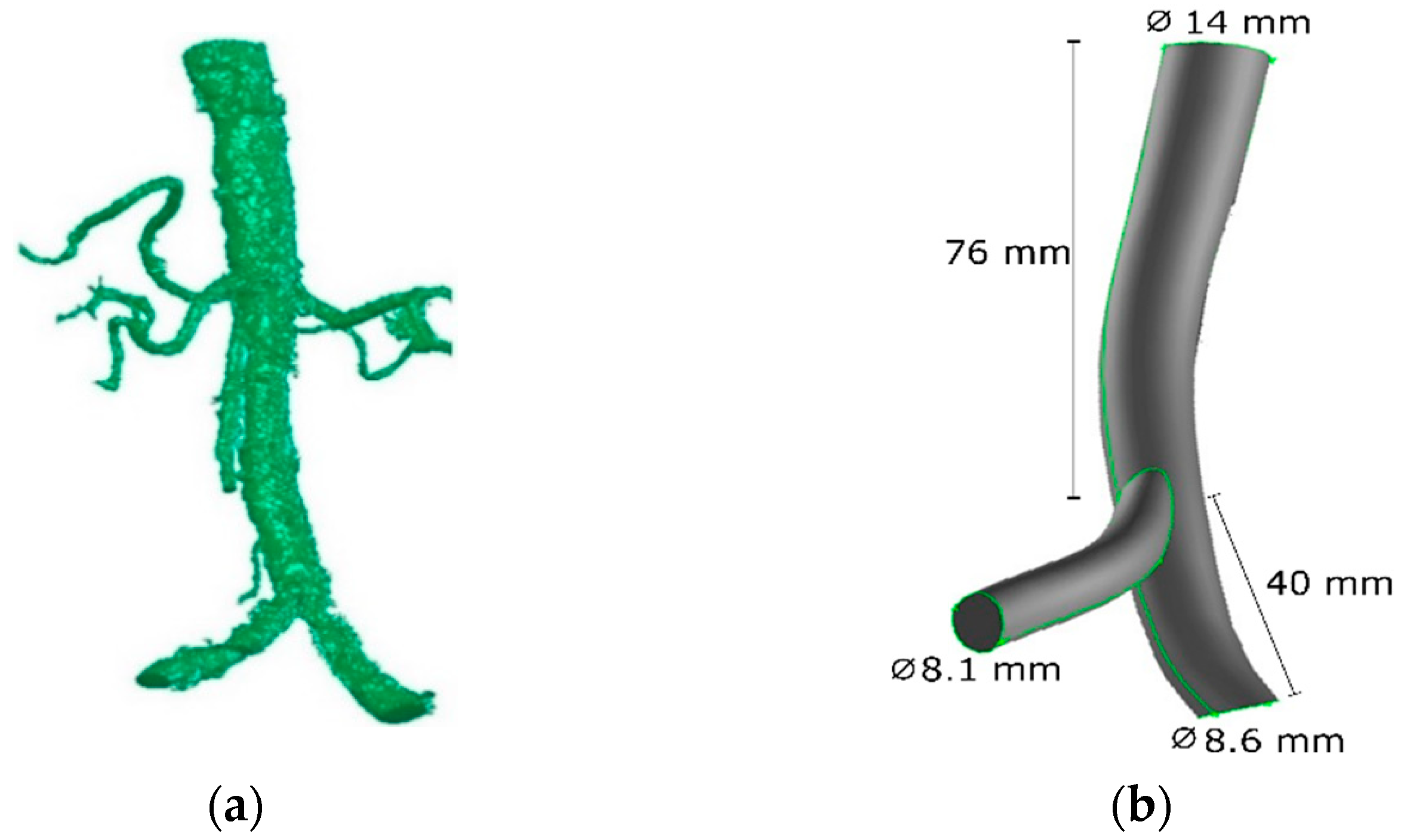 Fluids 06 00284 g004