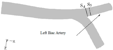 Fluids 06 00284 i002
