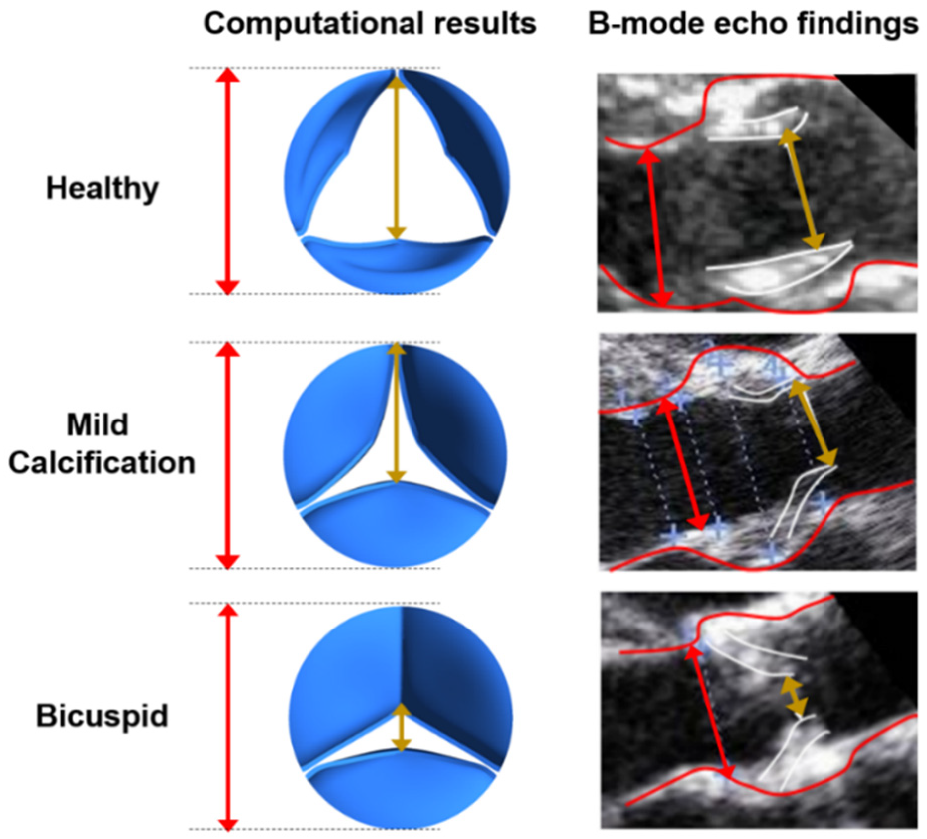 Fluids 06 00287 g003