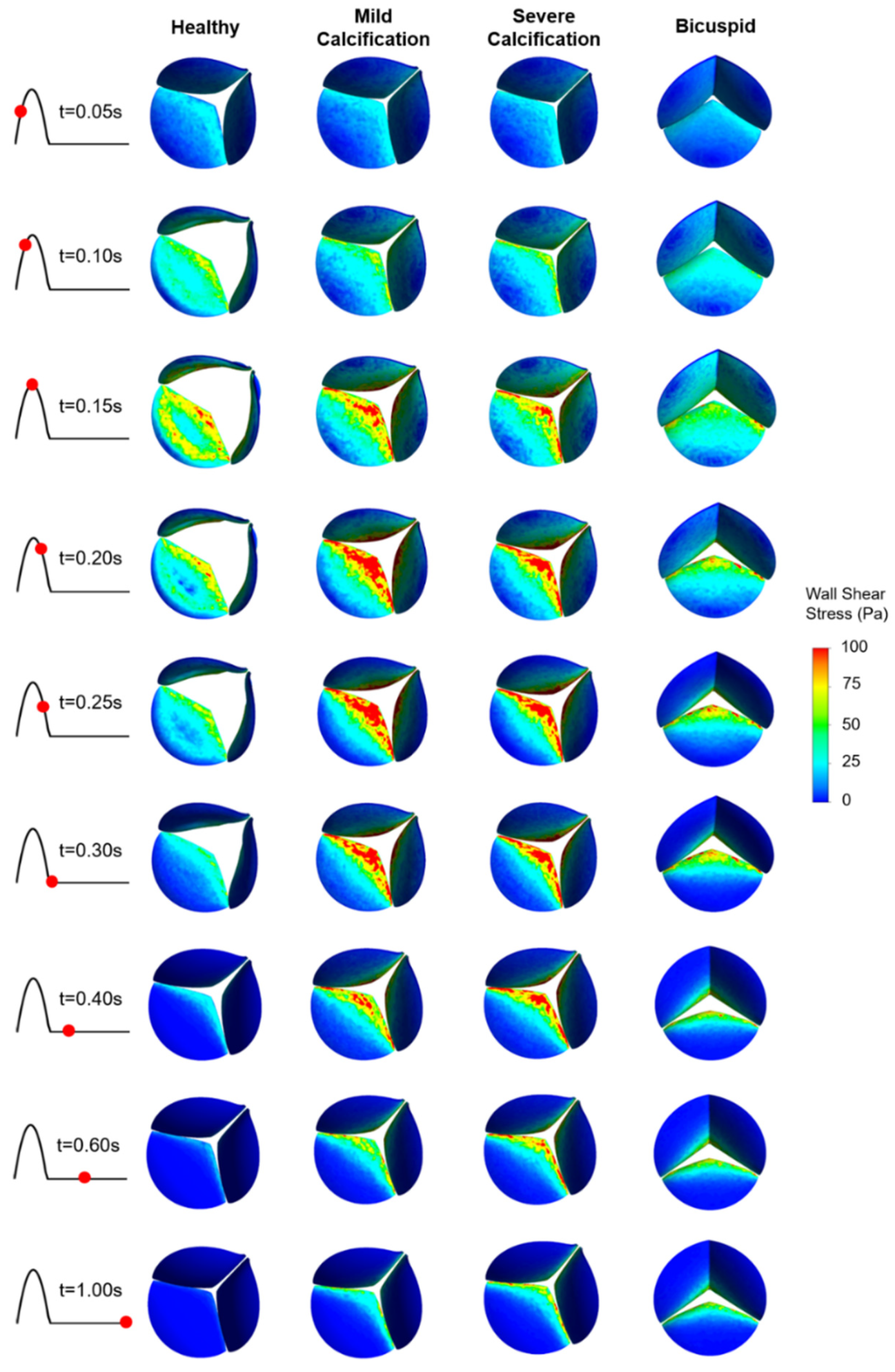 Fluids 06 00287 g005