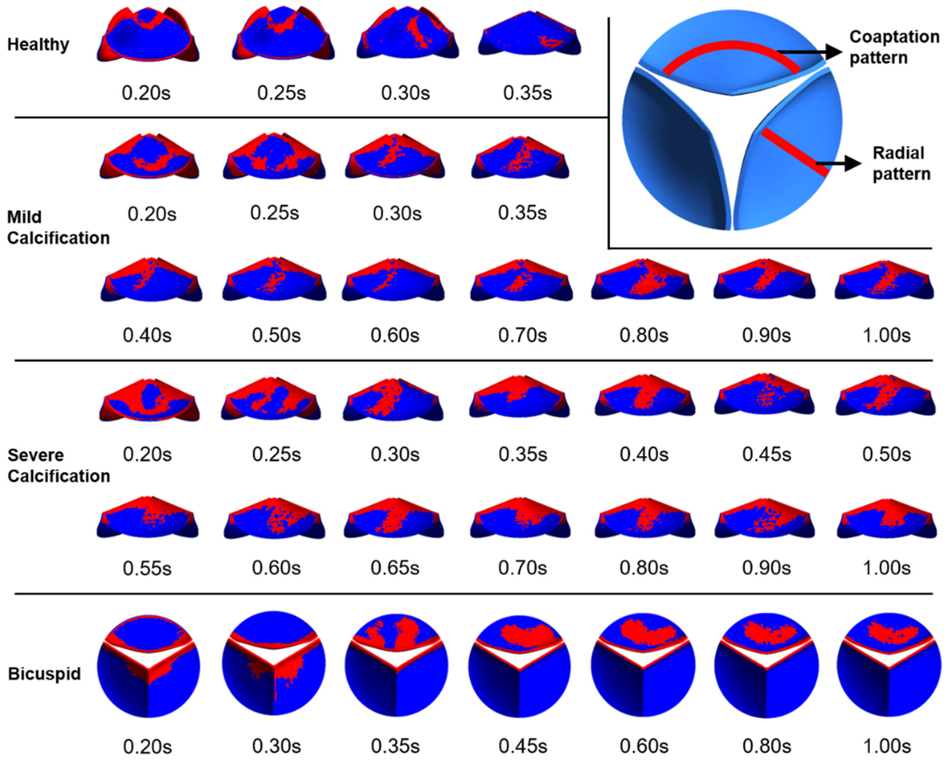 Fluids 06 00287 g009