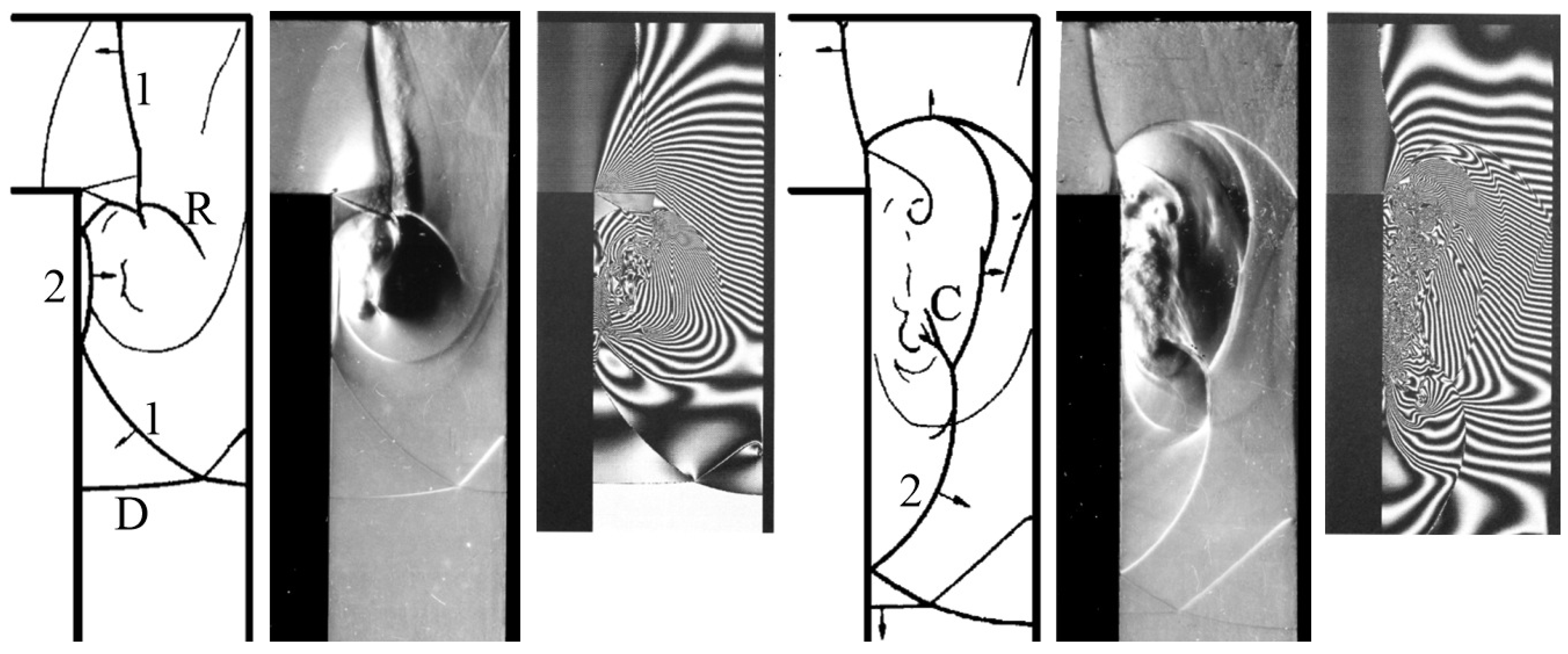 Fluids 06 00303 g003