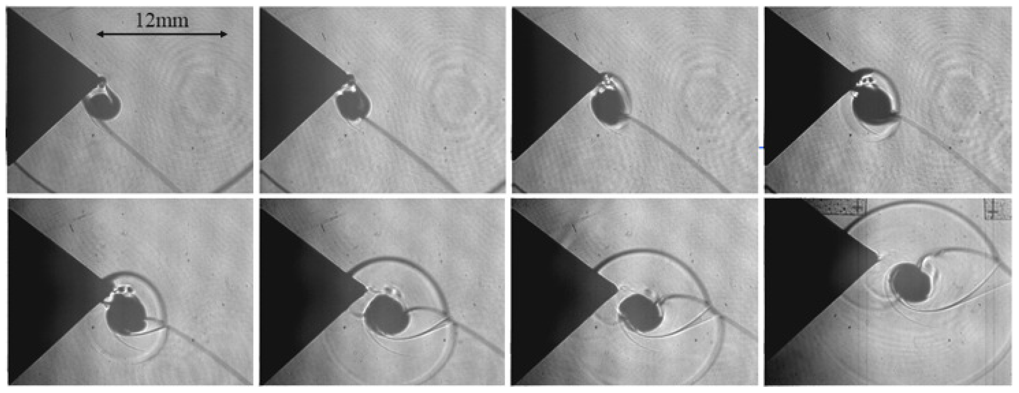 Fluids 06 00303 g008