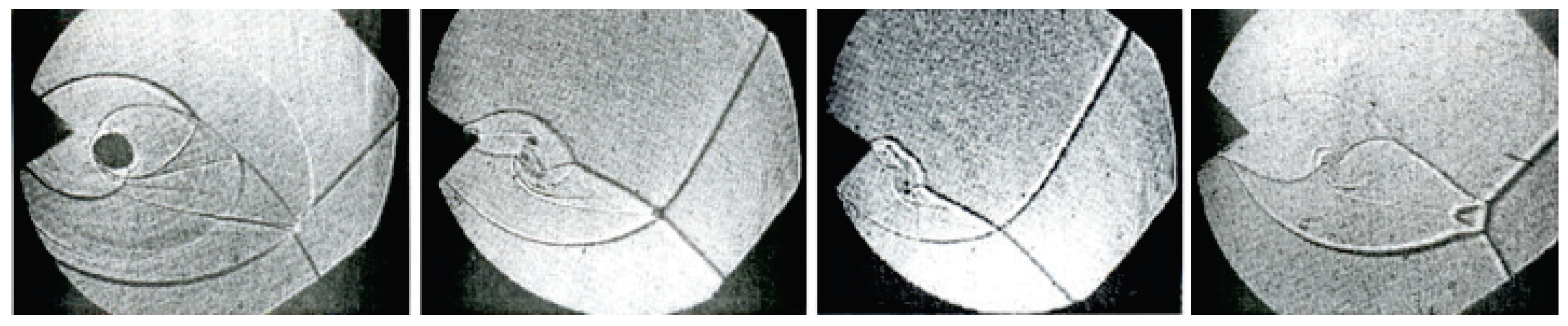 Fluids 06 00303 g017