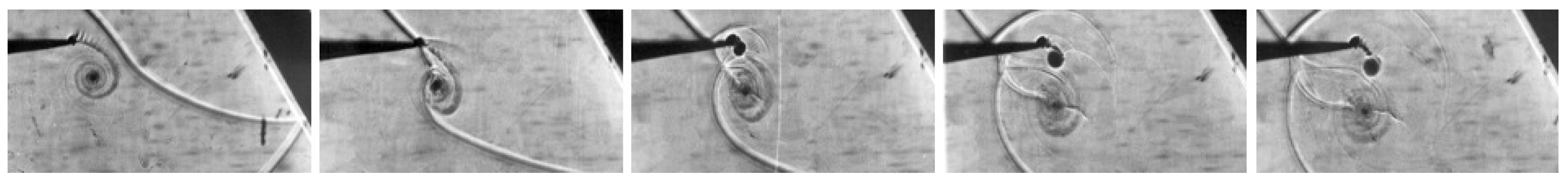 Fluids 06 00303 g028