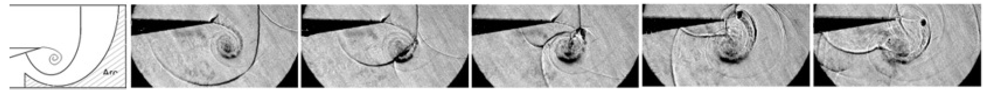 Fluids 06 00303 g029