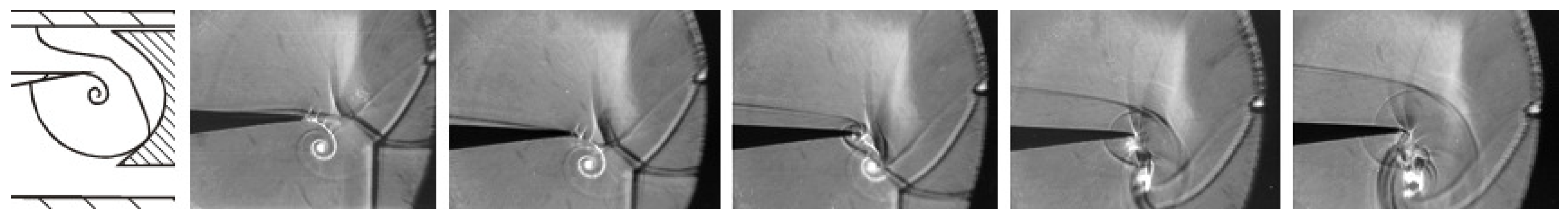 Fluids 06 00303 g030